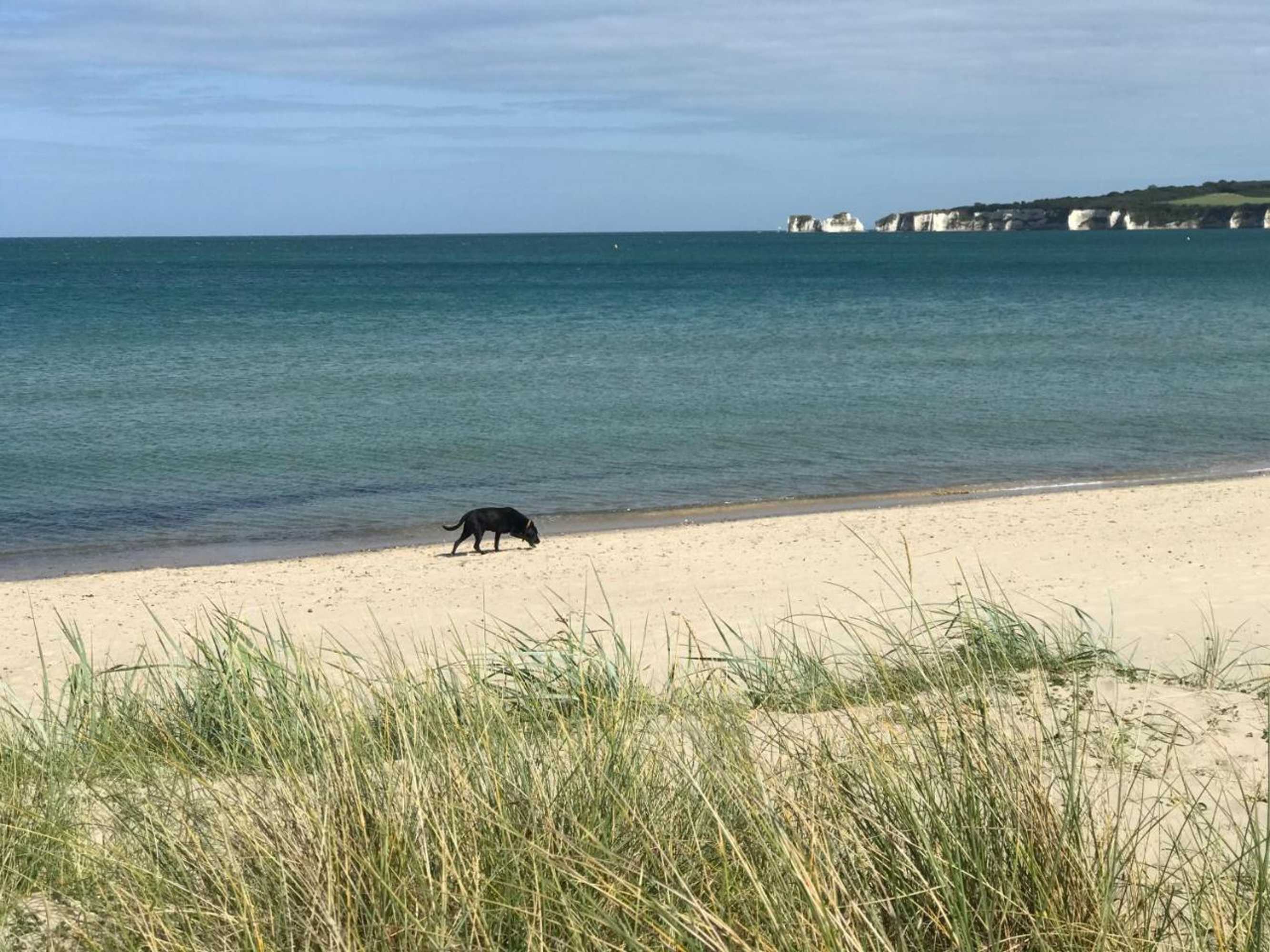 Gift card for Arbour House Bed And Breakfast