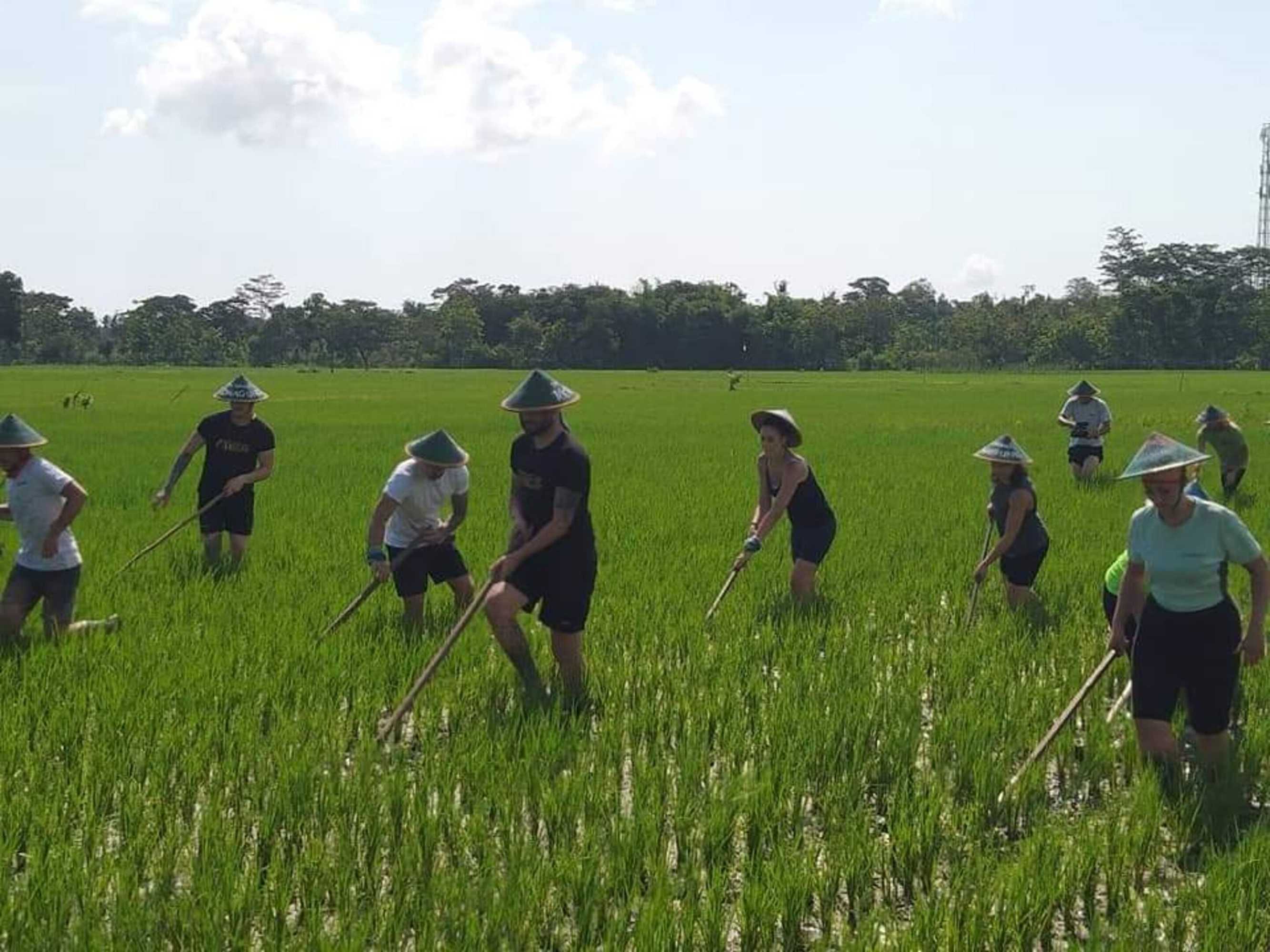 Gift card for Narti Homestay