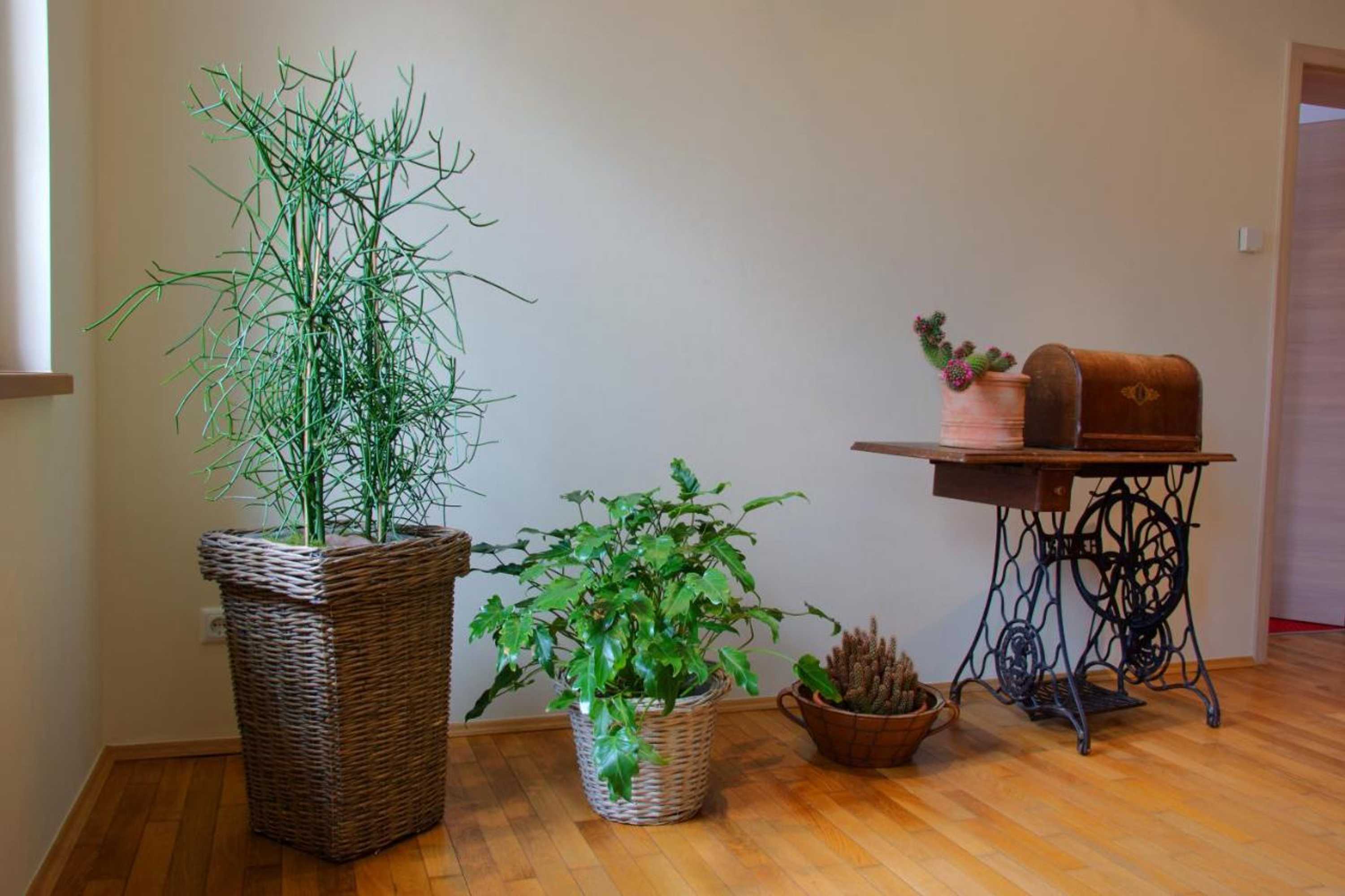 Gift card for Pension Am Finkenberg