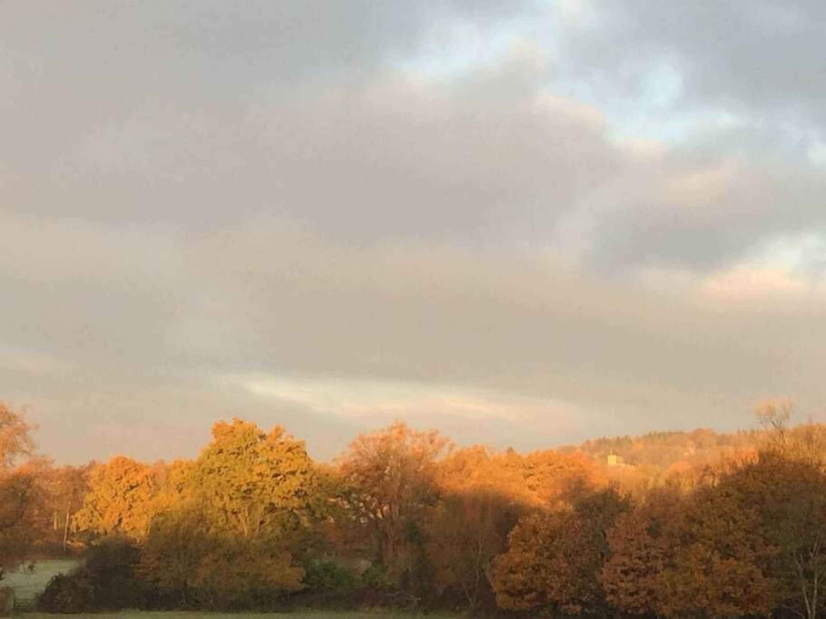 Gift card for Oak House Farm