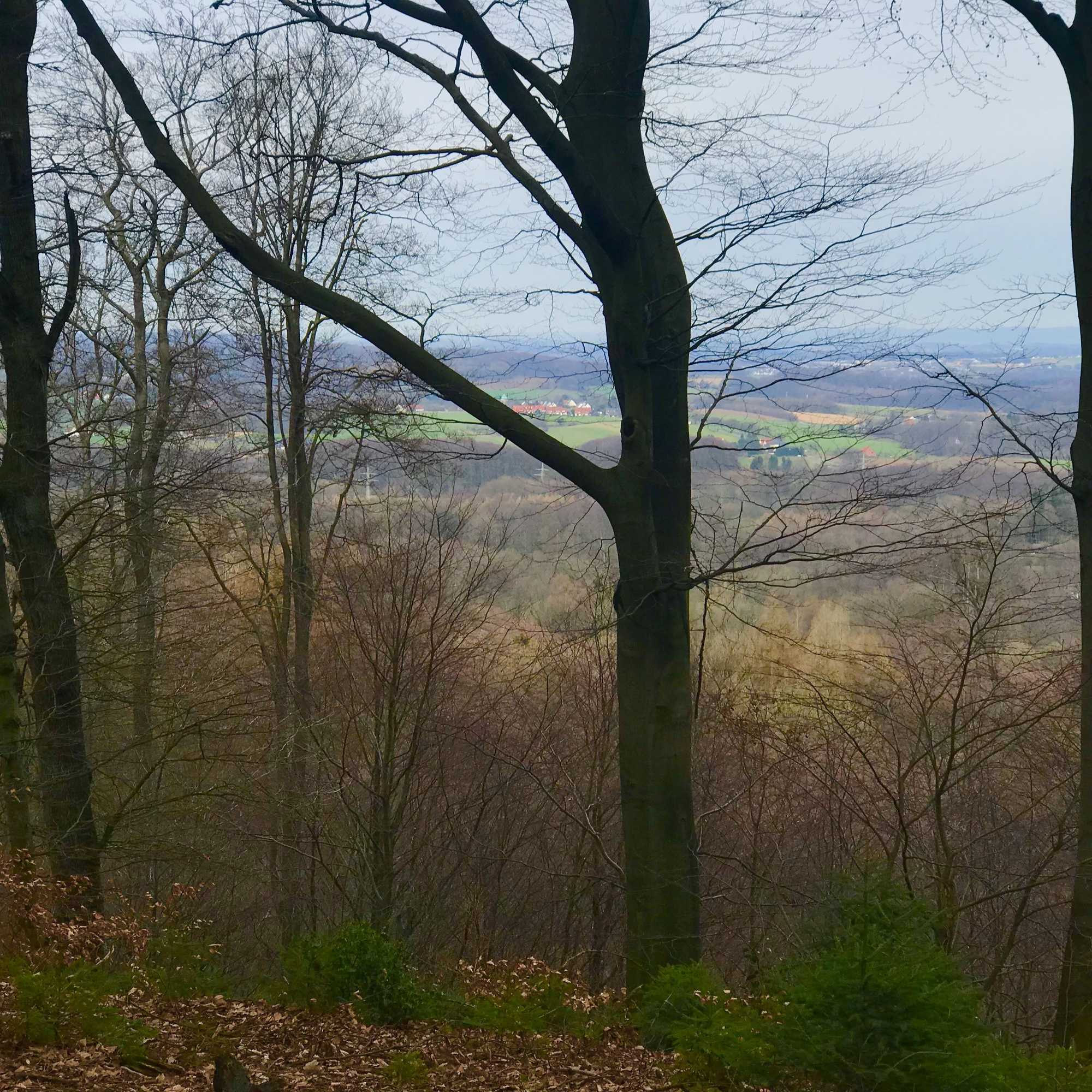 Gift card for Waldhotel Peter Aufm Berge