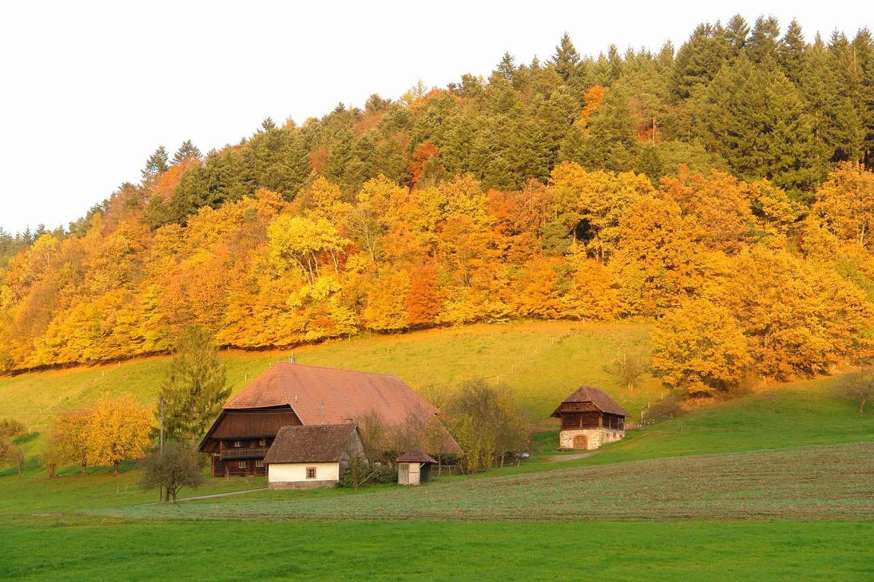 Gift card for Schwarzwälder Ferienwohnungen - Marita Schäfer
