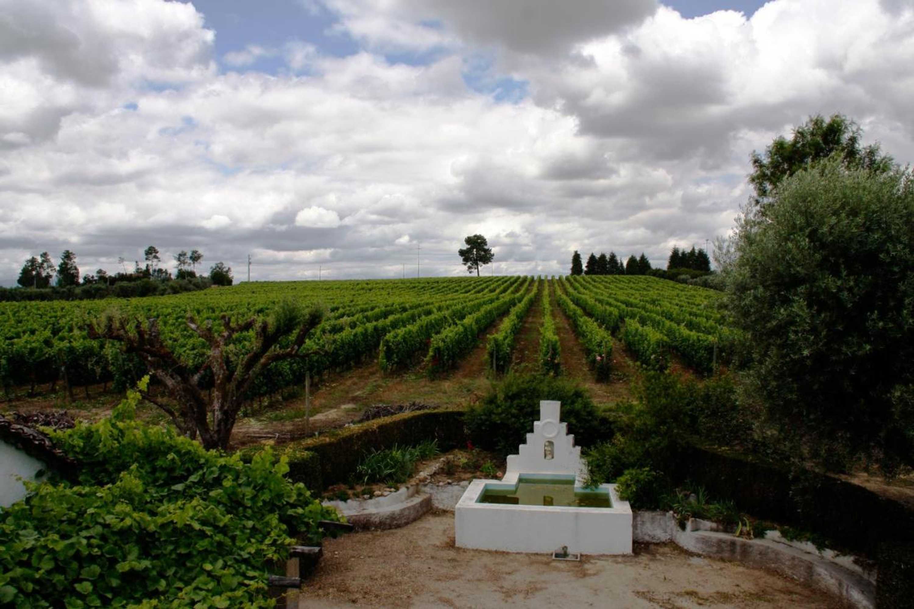 Gift card for Quinta da Fata