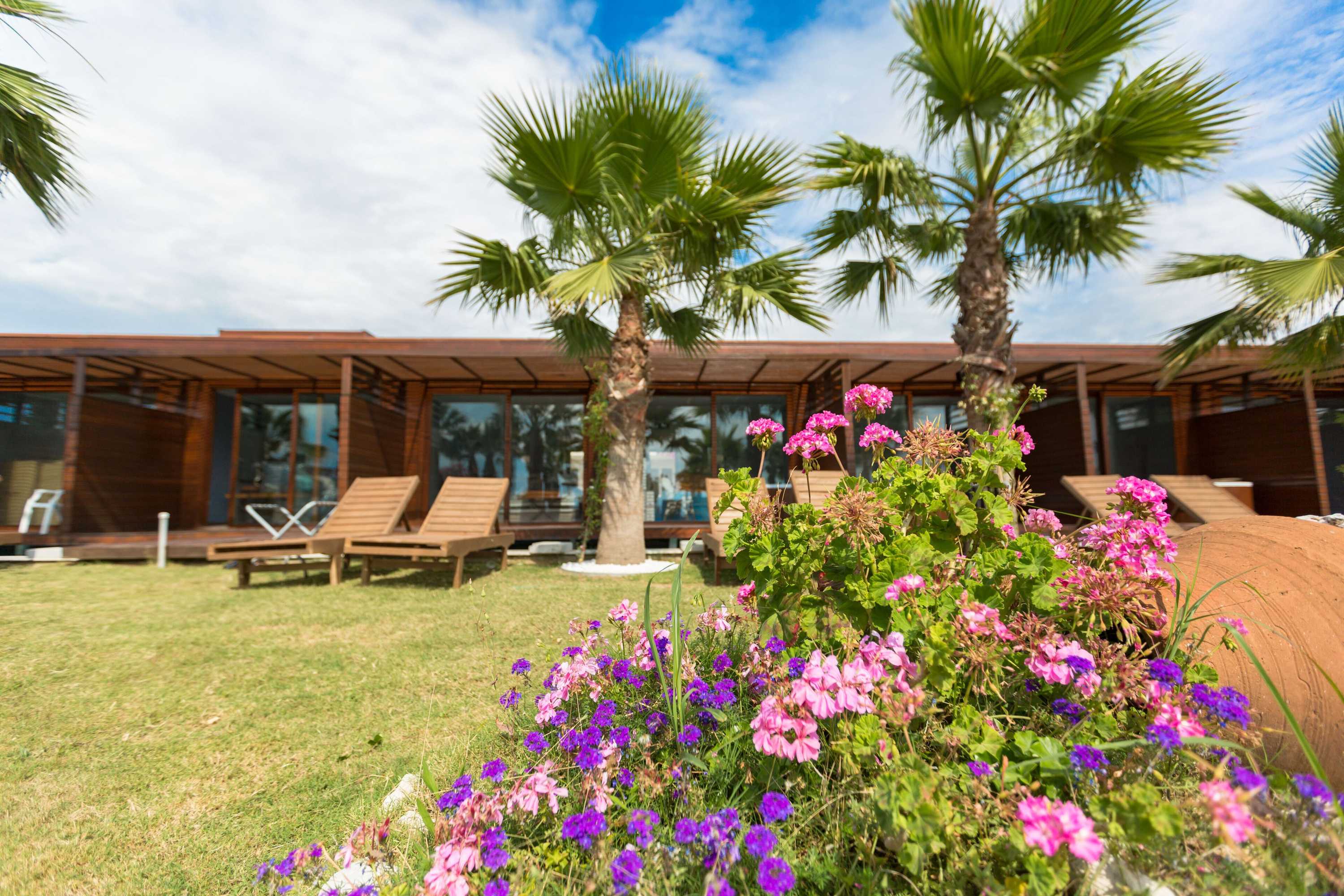 Gift card for Risus Beach Resort Hotel Gift card for Risus Beach Resort Hotel