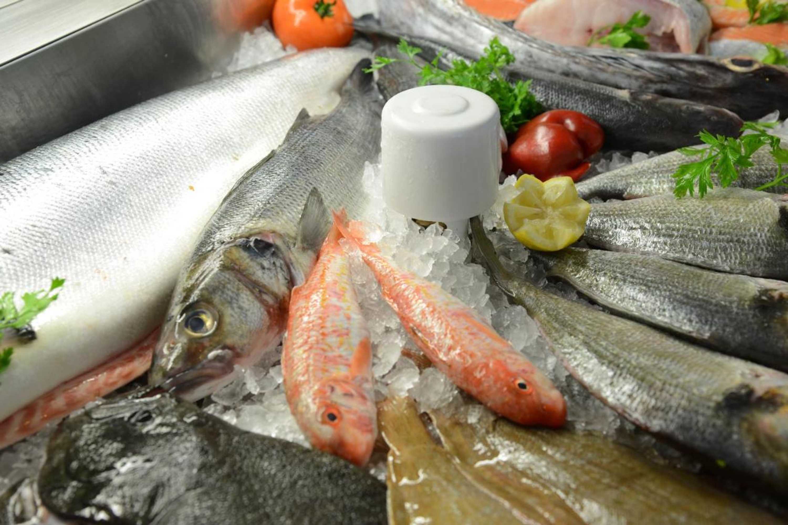 Gift card for Hotel Dom Lourenco