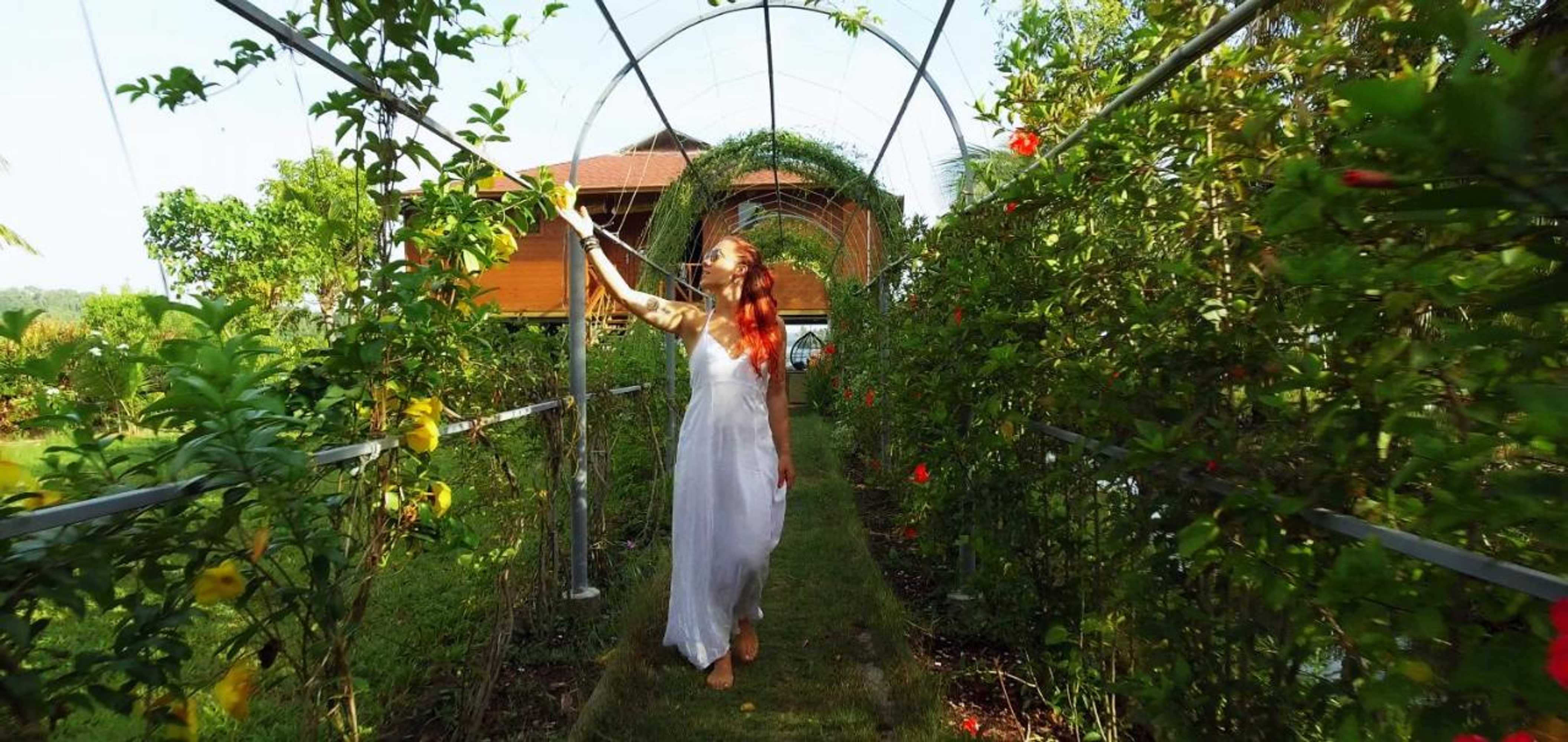 Gift card for Vinis Farm - A Private Island Stay -Privacy Redefined !!!