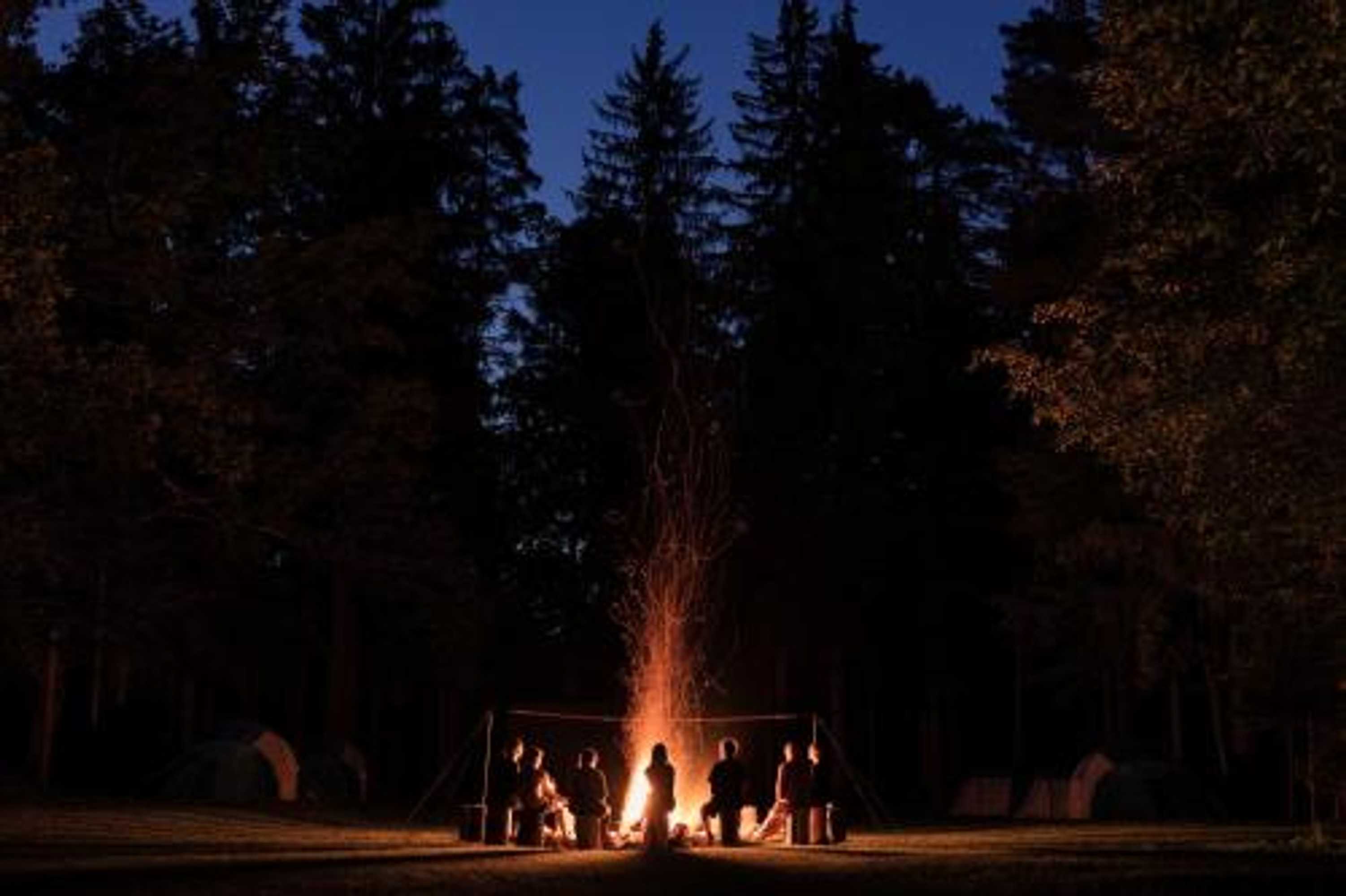 Gift card for Forest Camping Mozirje Gift card for Forest Camping Mozirje