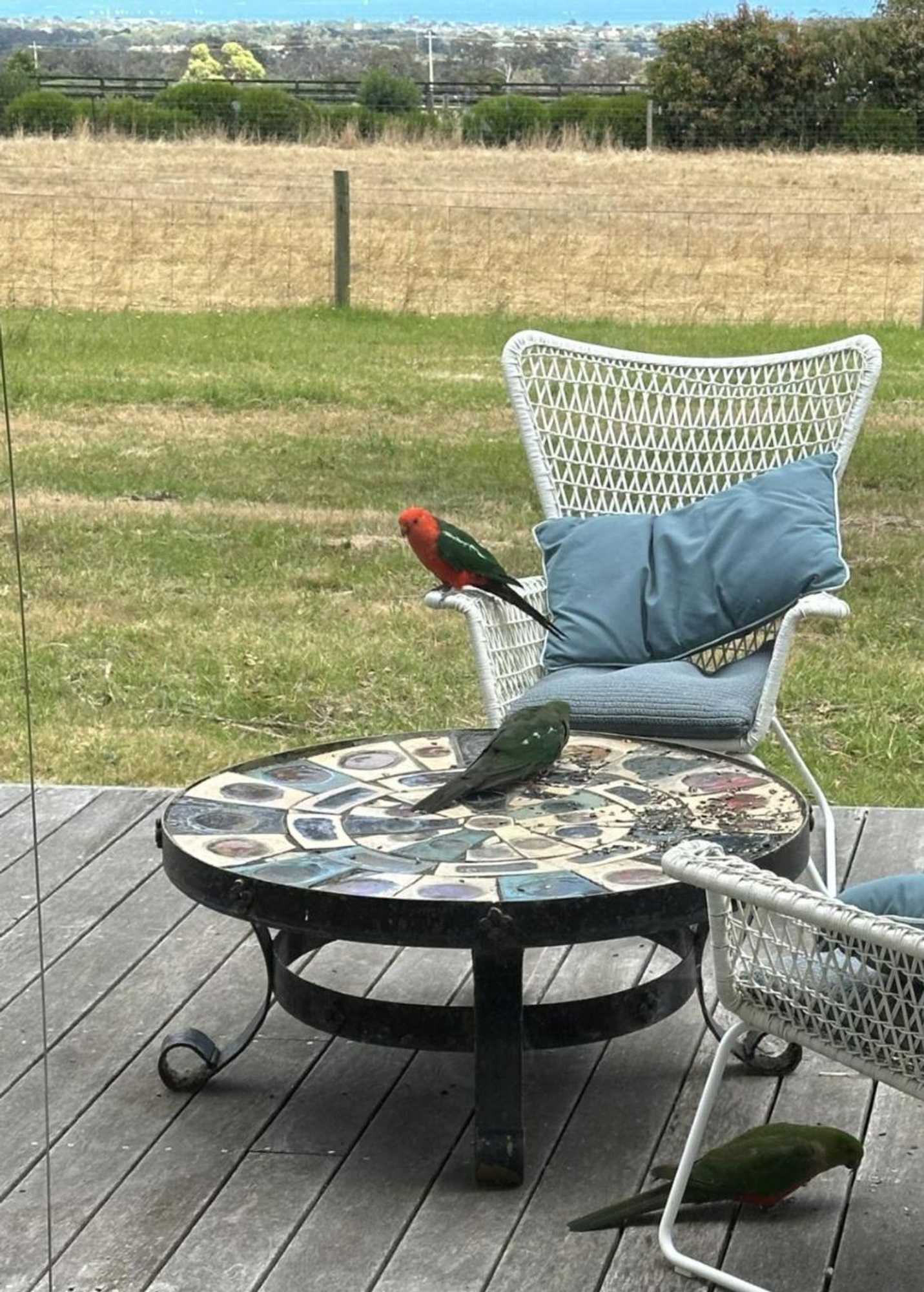 Gift card for Red Hill Ridge