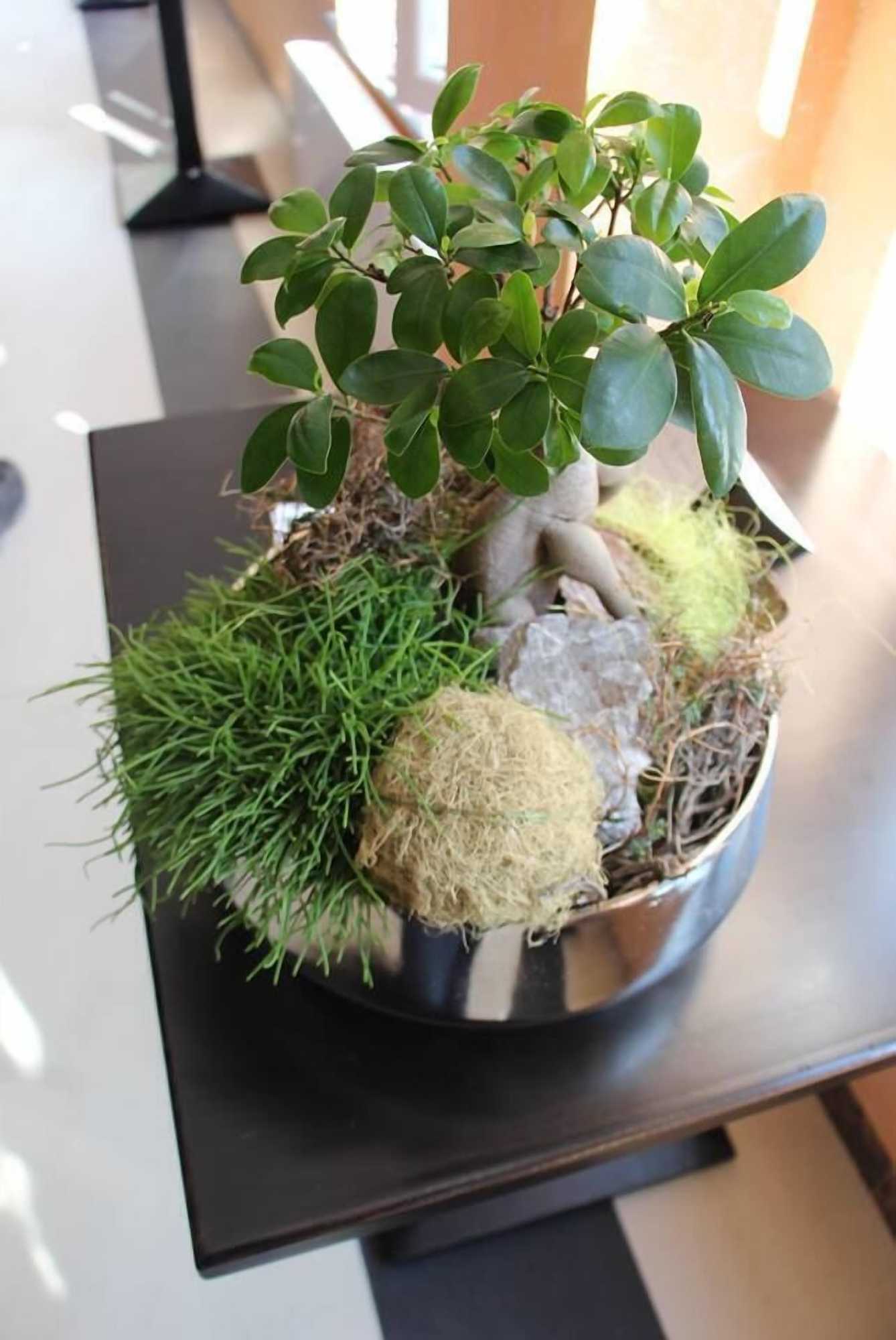 Gift card for Hotel Restaurante Lorca