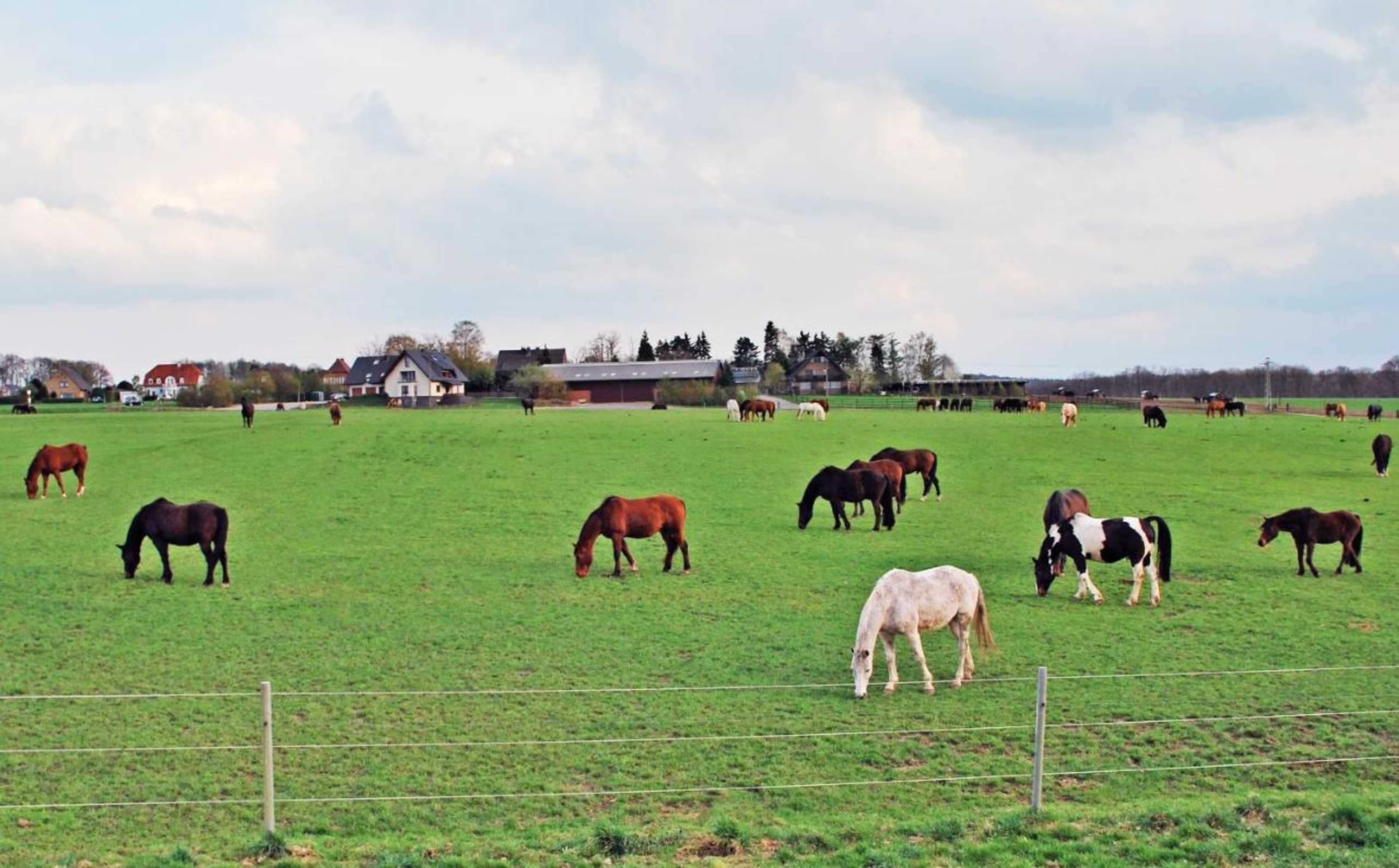 Gift card for Ferienwohnung Bergblick Xanten