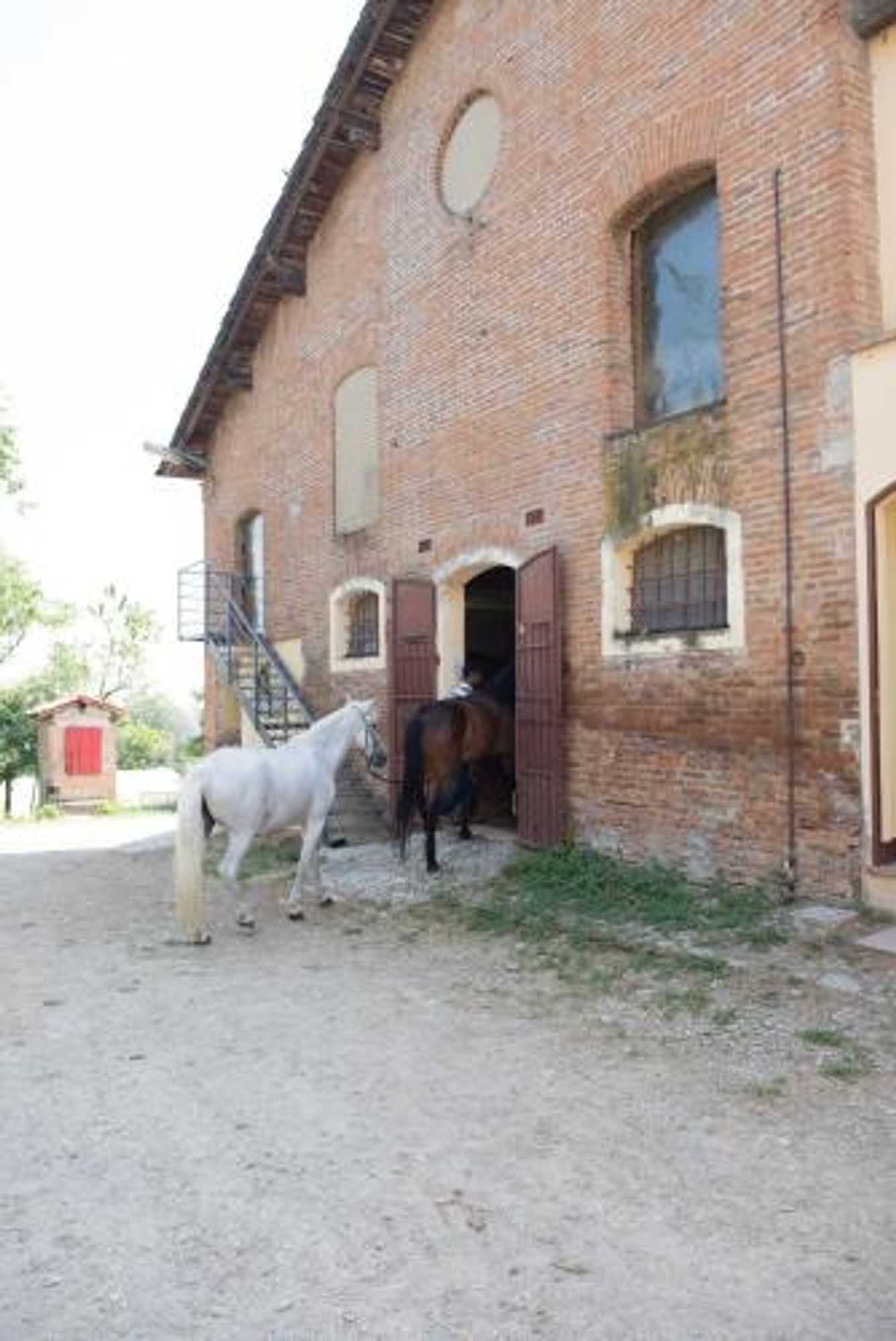 Gift card for Agriturismo Montevecchio Isolani Gift card for Agriturismo Montevecchio Isolani