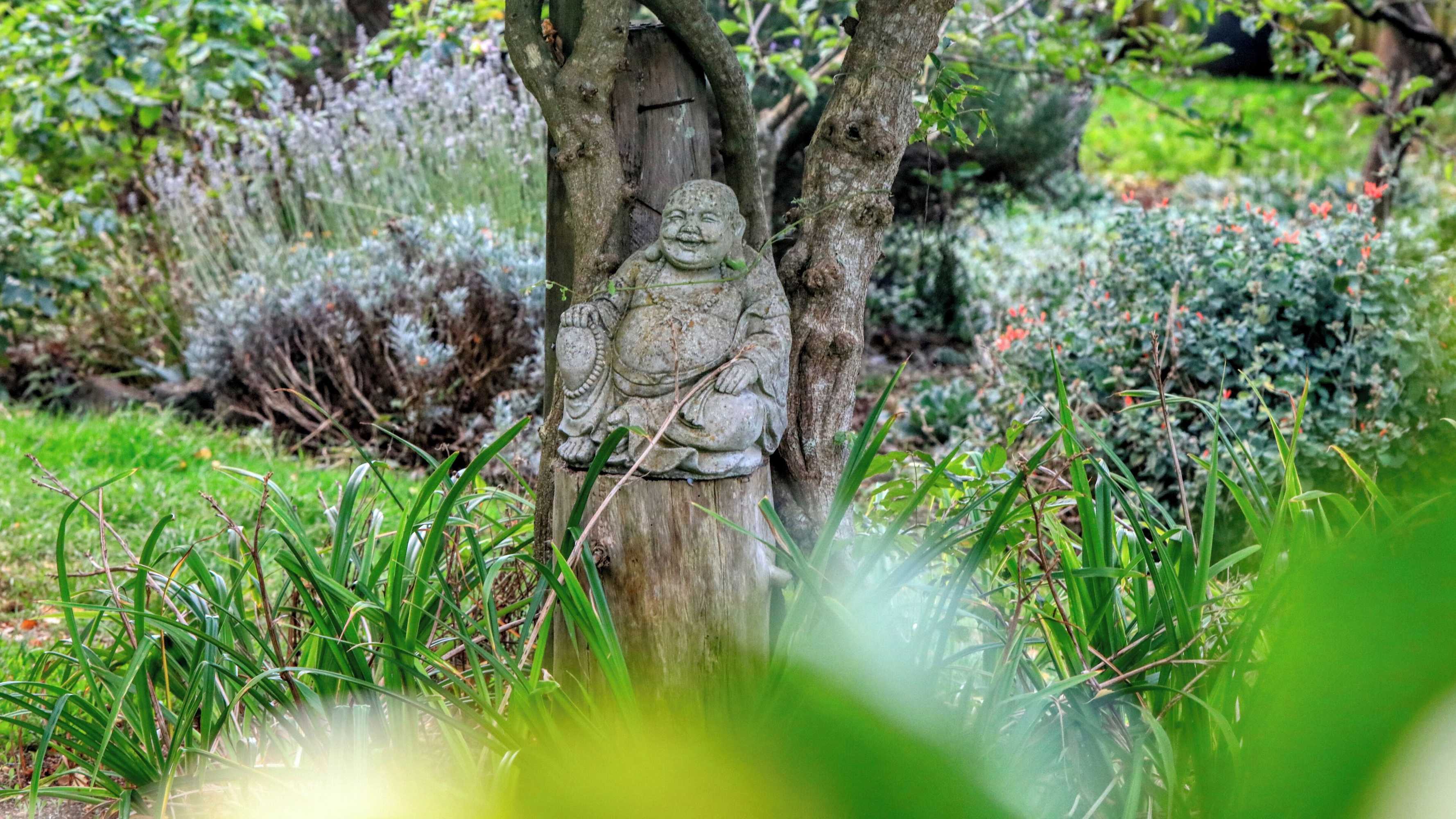 Gift card for Boat Harbour Garden Cottages