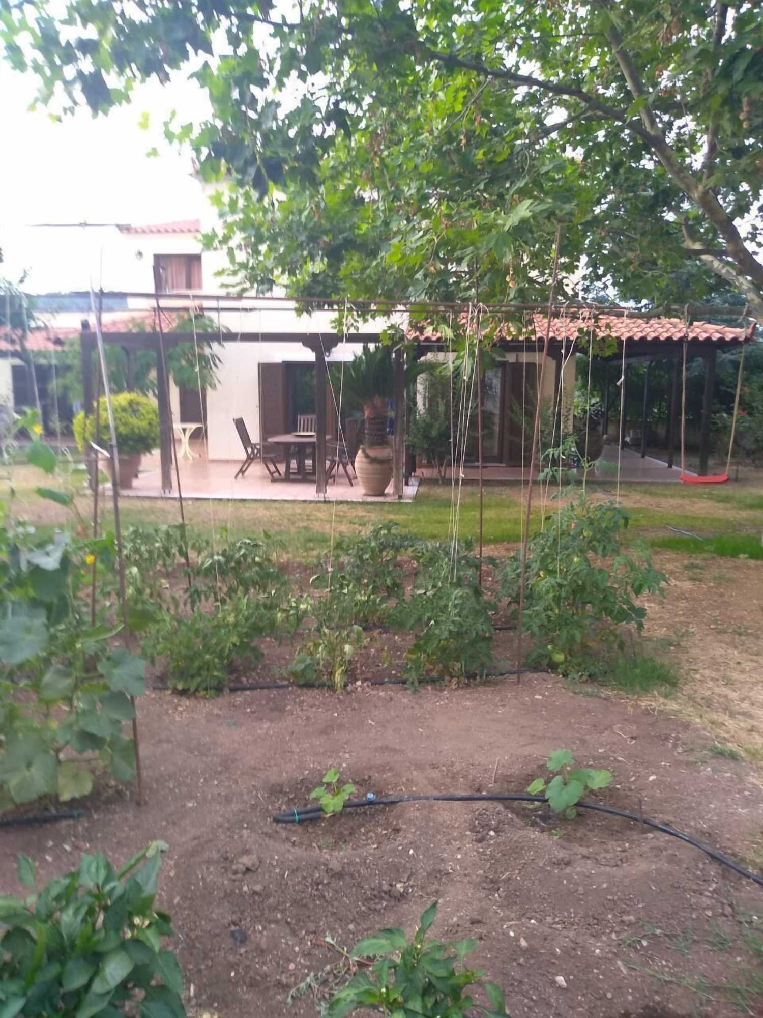 Gift card for Gerania Villa