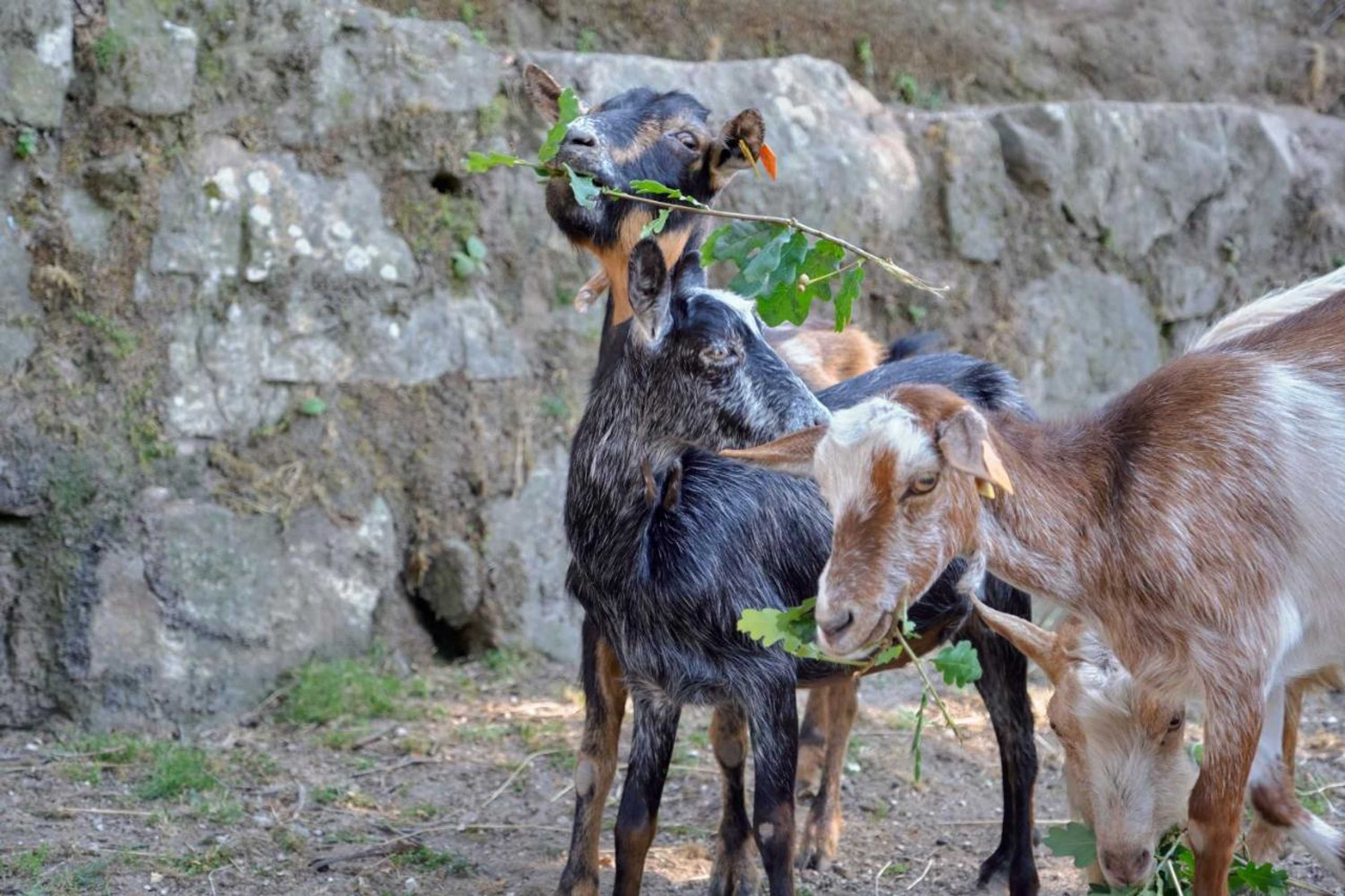 Gift card for Quinta de Silharezes, Lda