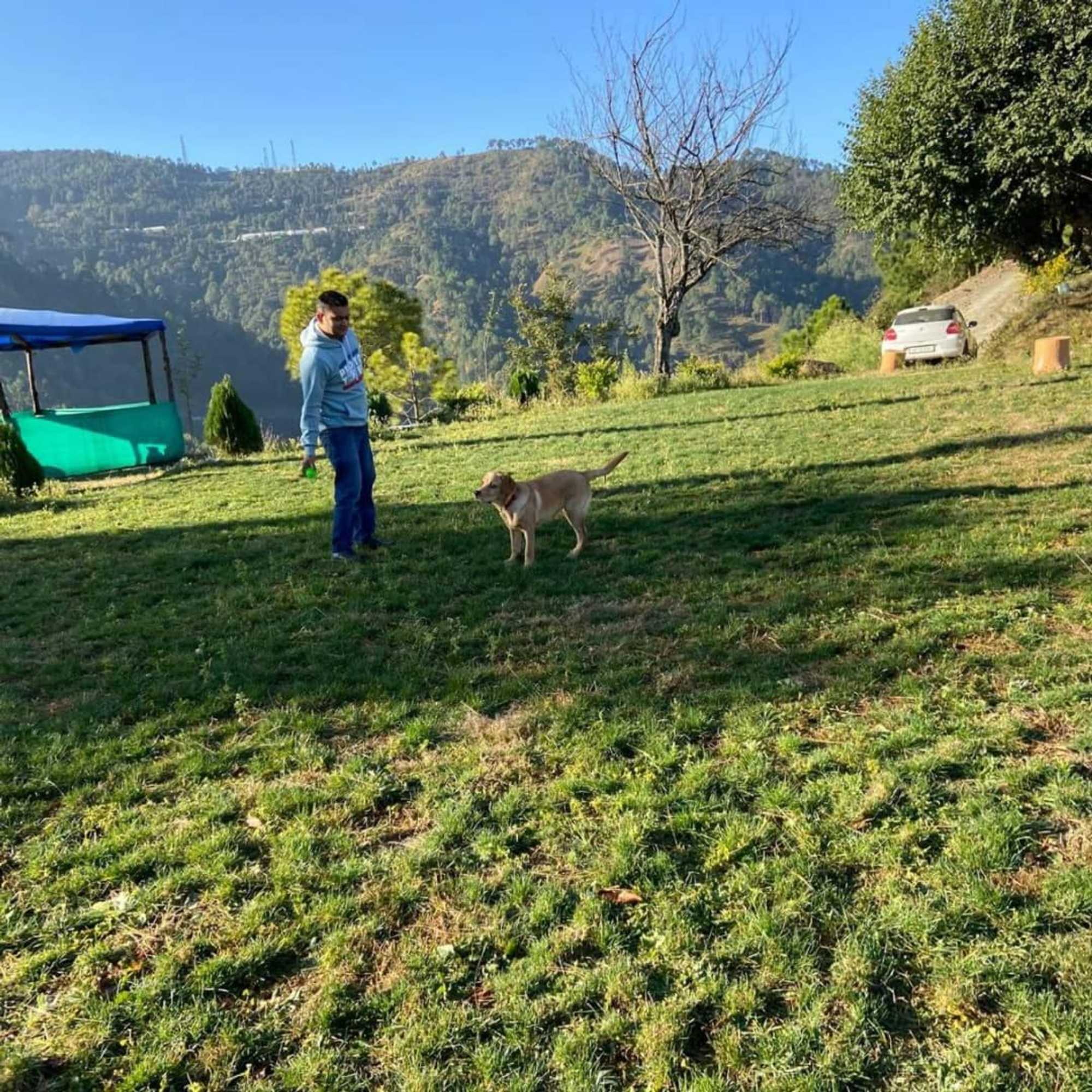 Gift card for Golden Valley Cottages, Chail Gift card for Golden Valley Cottages, Chail