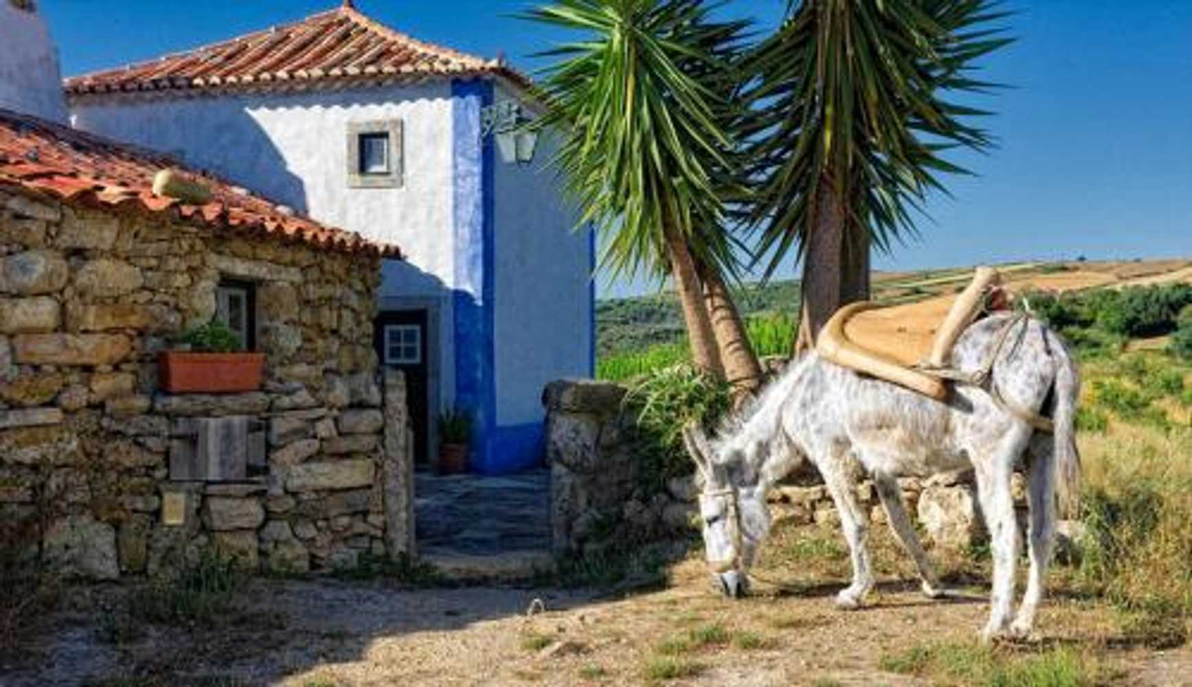 Gift card for Aldeia da Mata Pequena