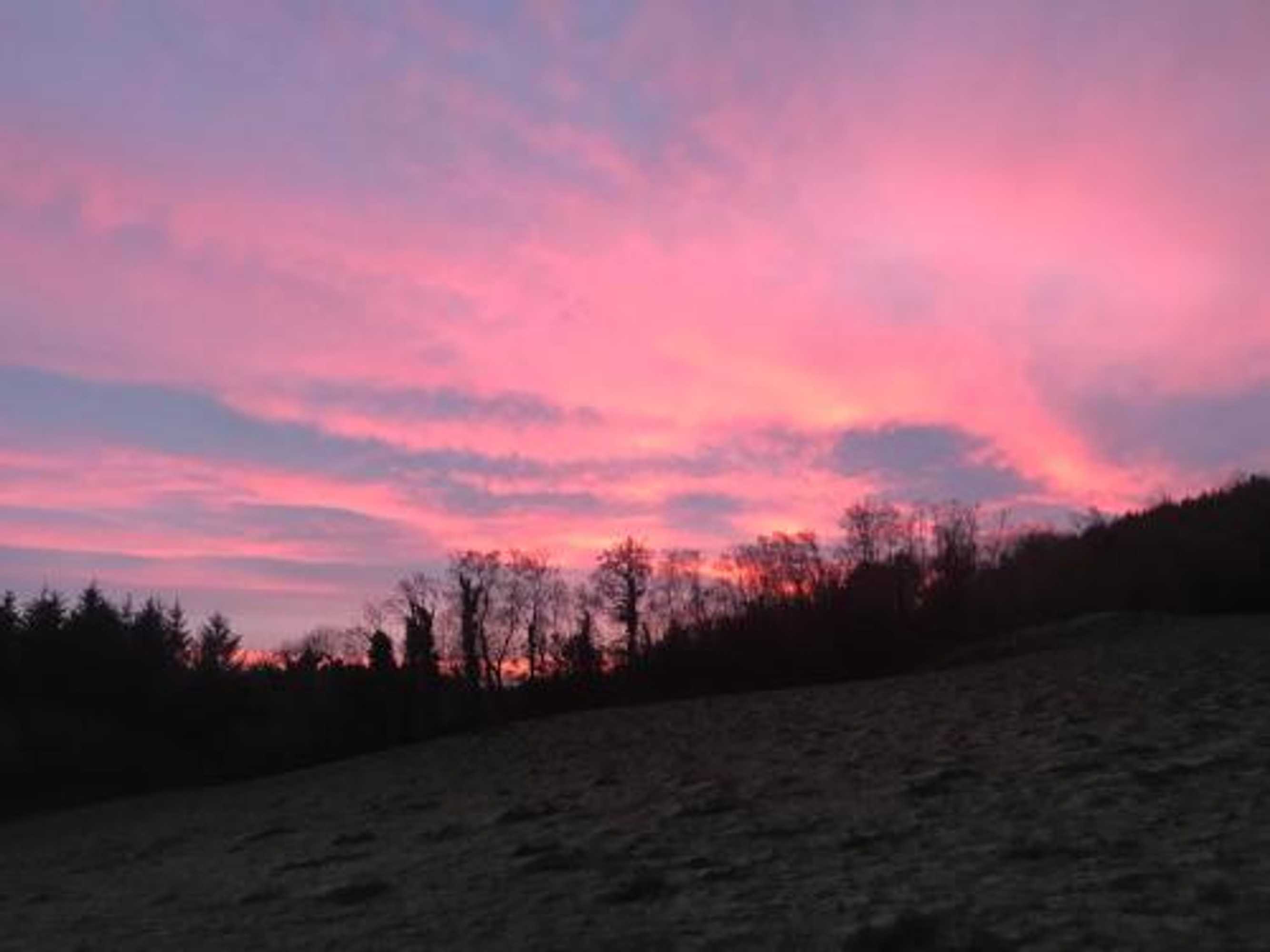 Gift card for Forest View - Castlewellan, County Down Gift card for Forest View - Castlewellan, County Down