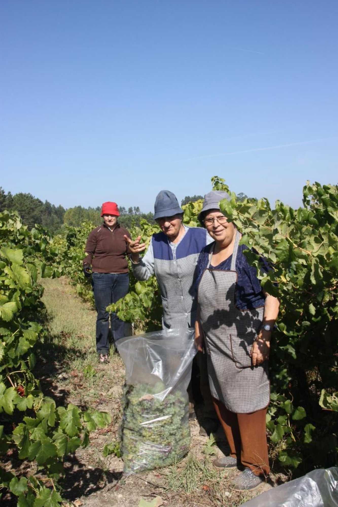 Gift card for Quinta no Pinhal