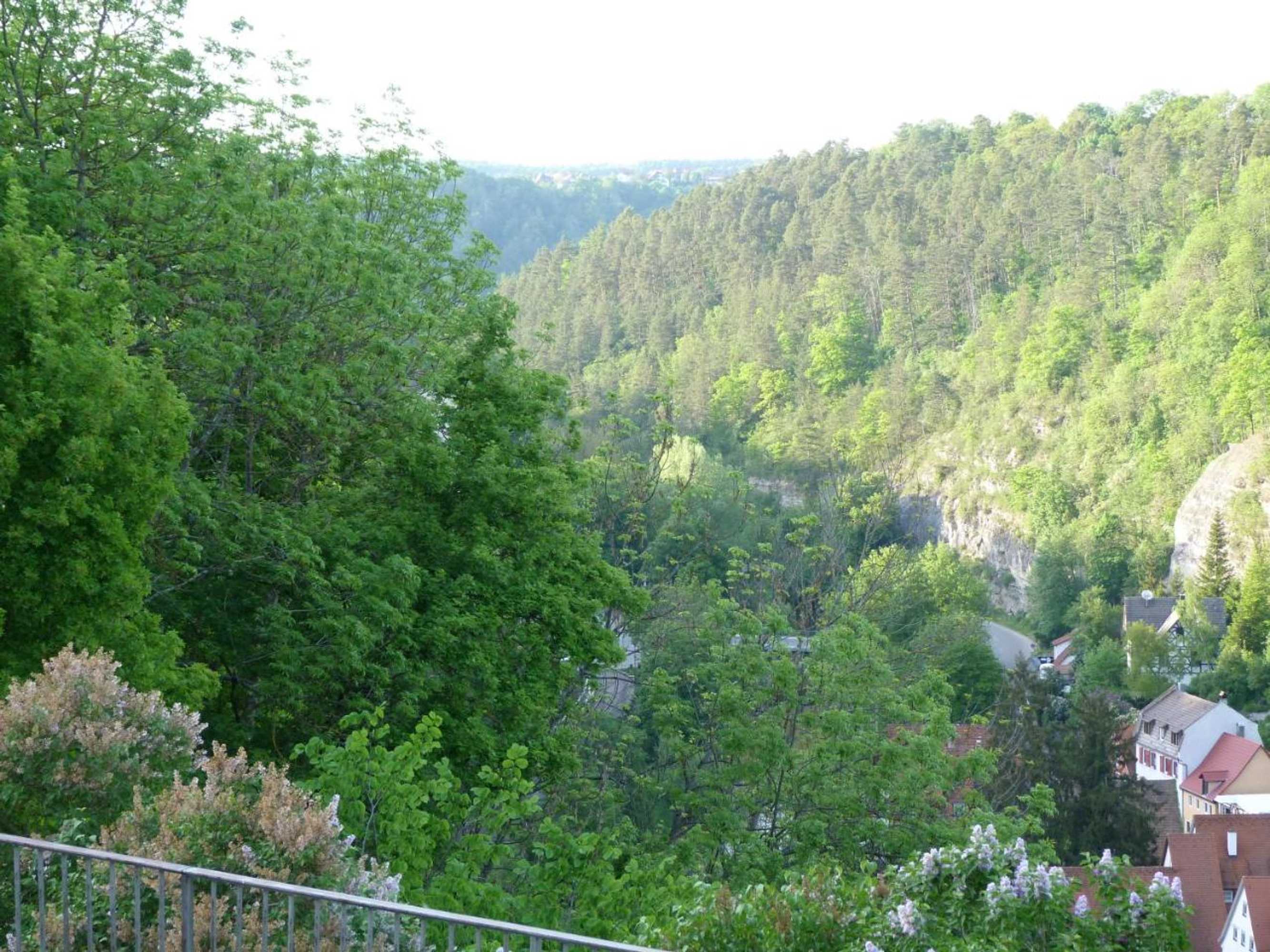 Gift card for Hotel Krone