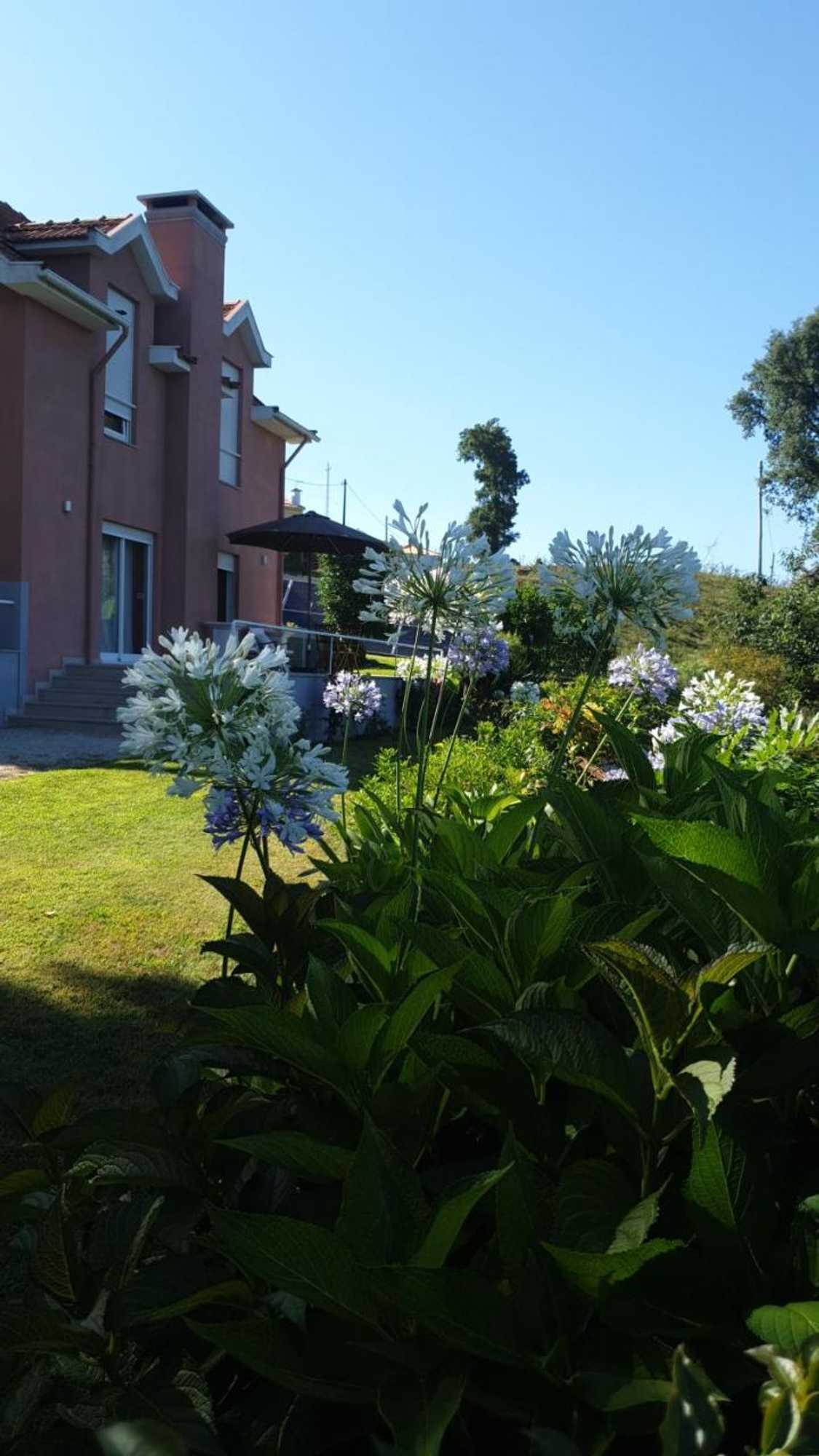 Gift card for Alto Belo