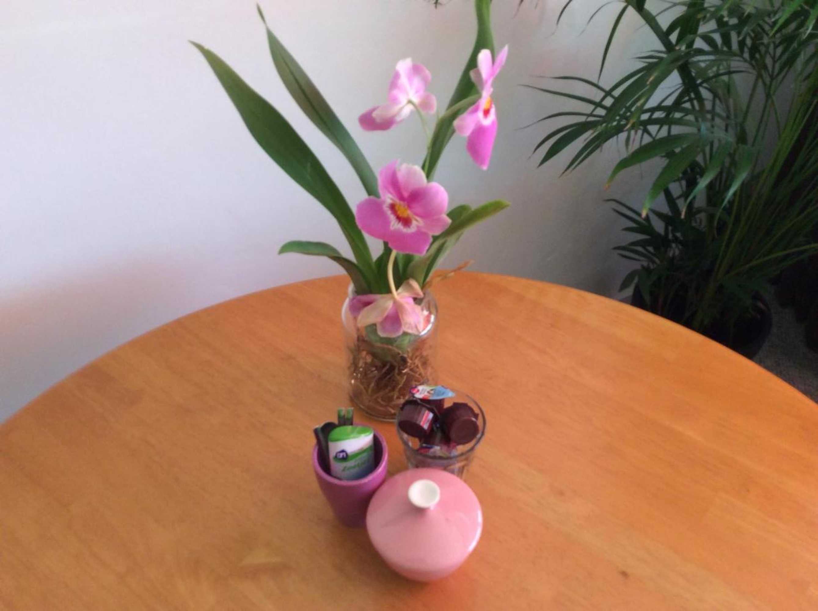 Gift card for Imagine My B&b