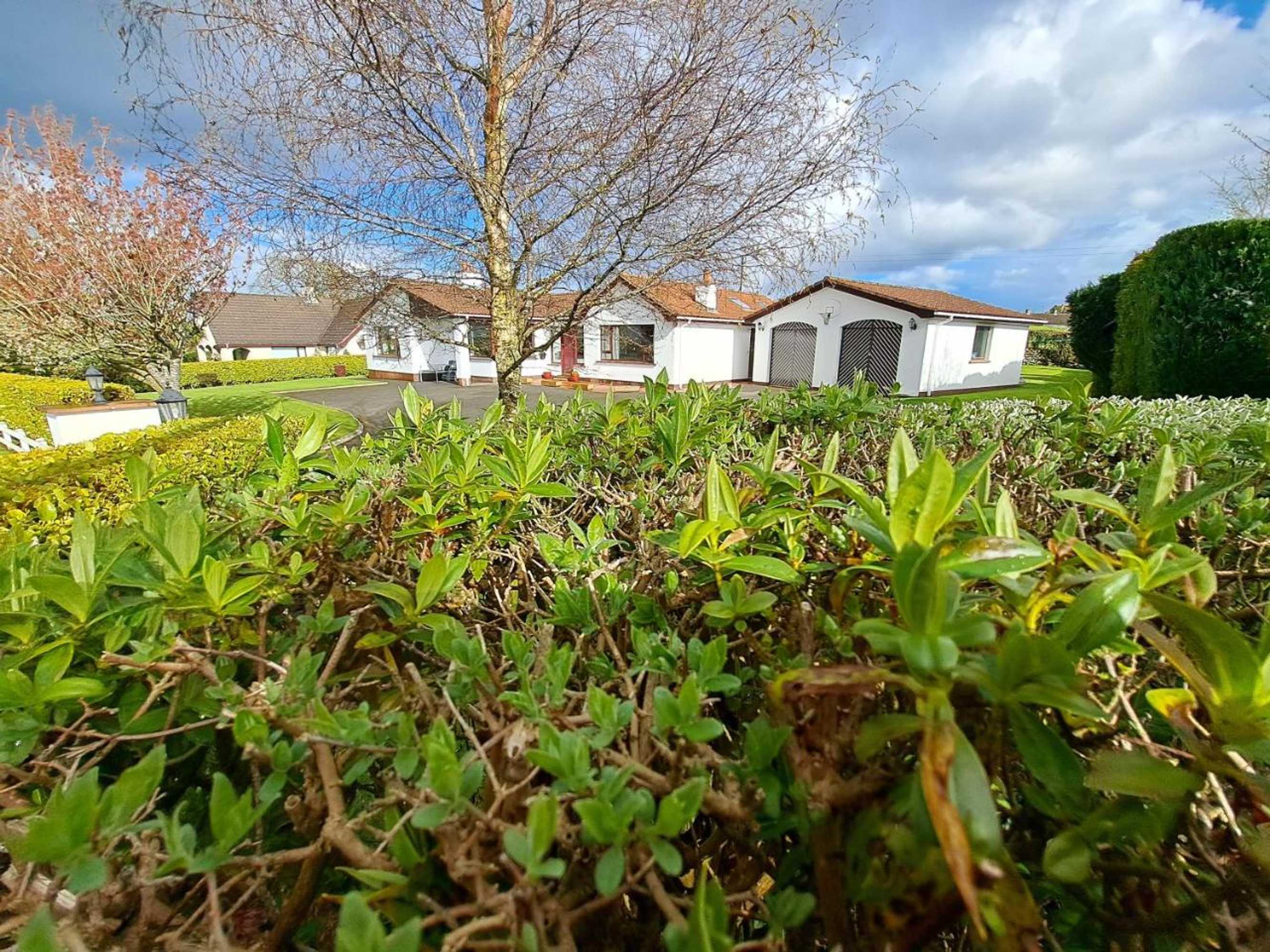 Gift card for Lecale Bliss