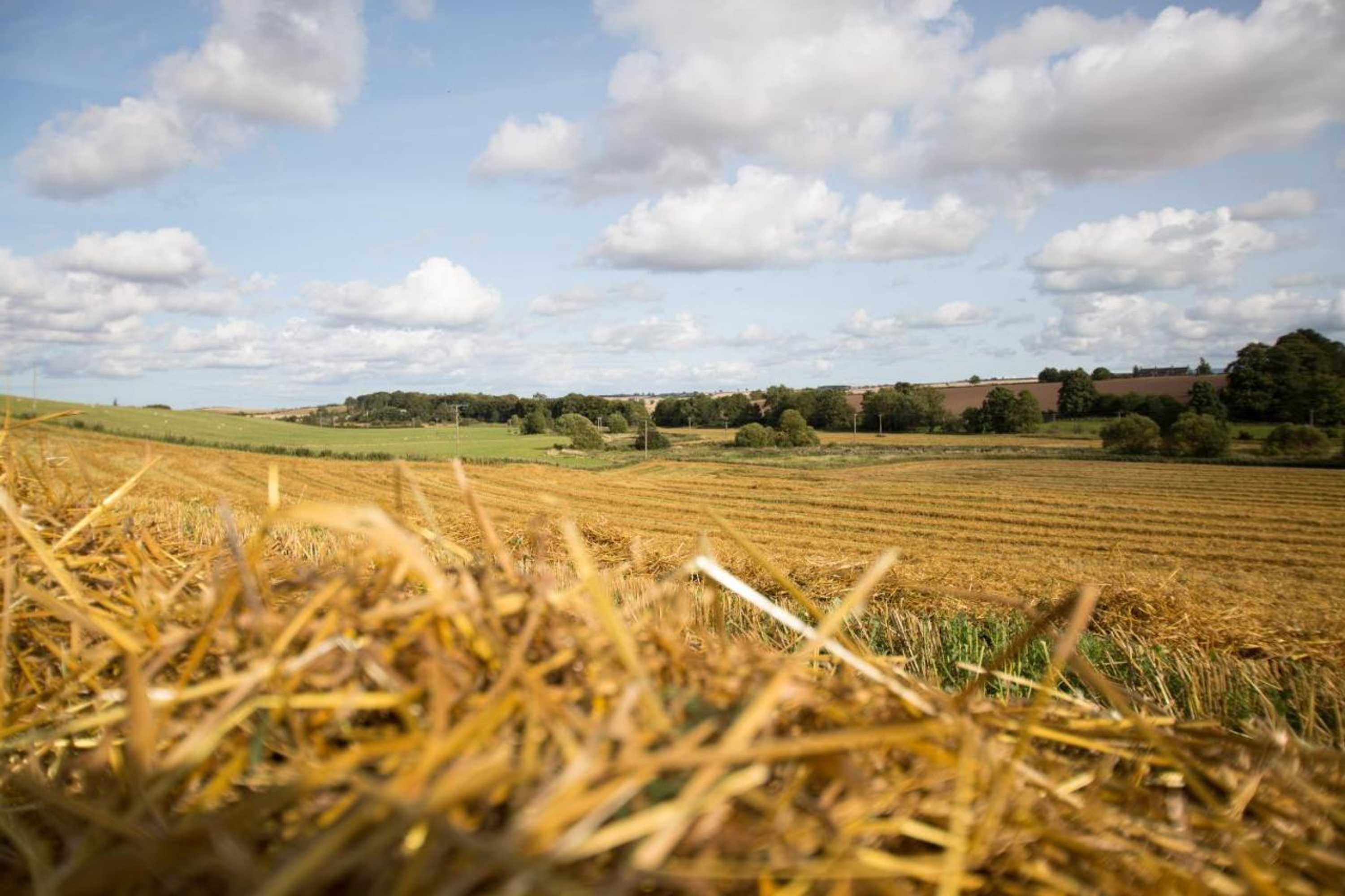 Gift card for Tweed Hideaway