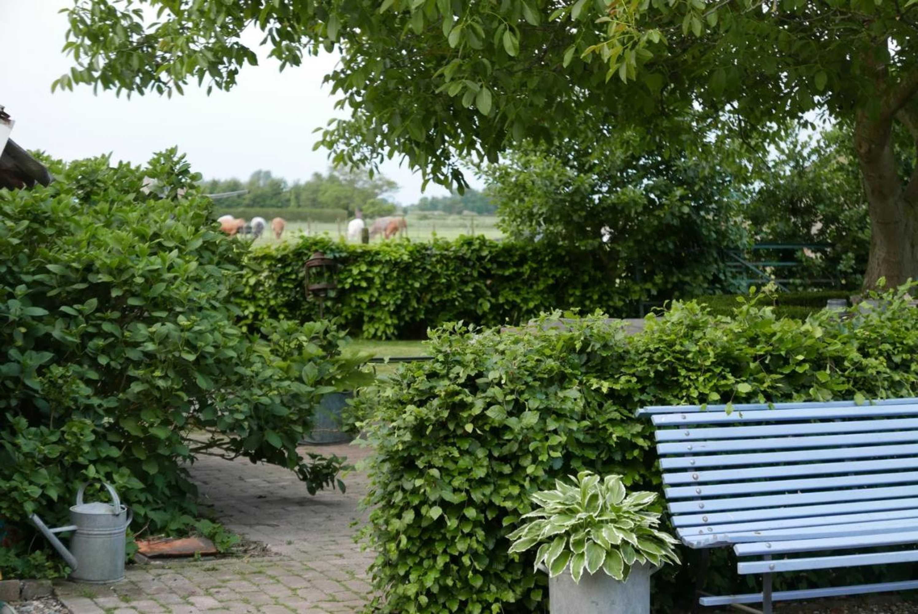 Gift card for B&b Bed en Omelet