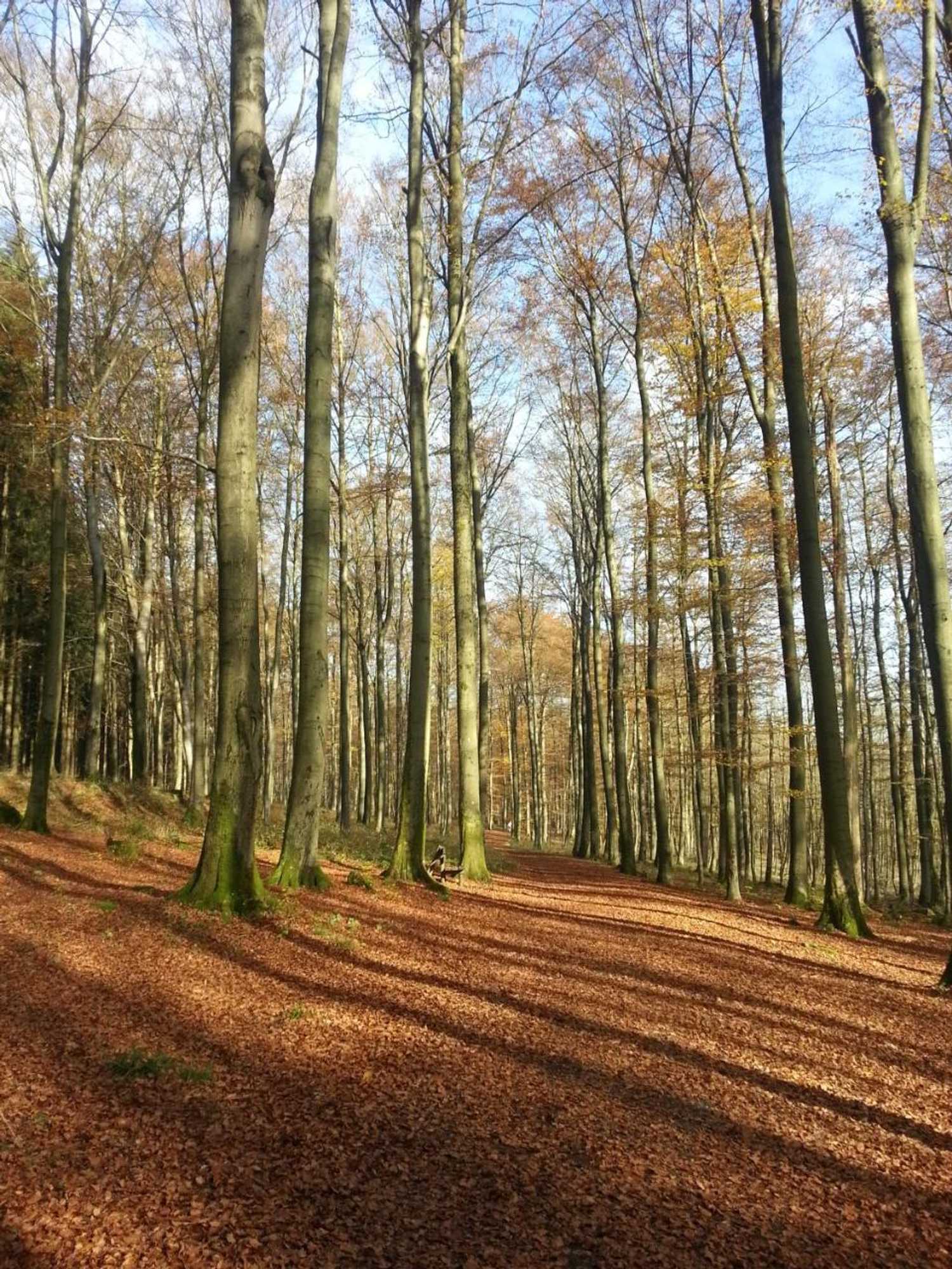 Gift card for Ferienwohnungen Angela