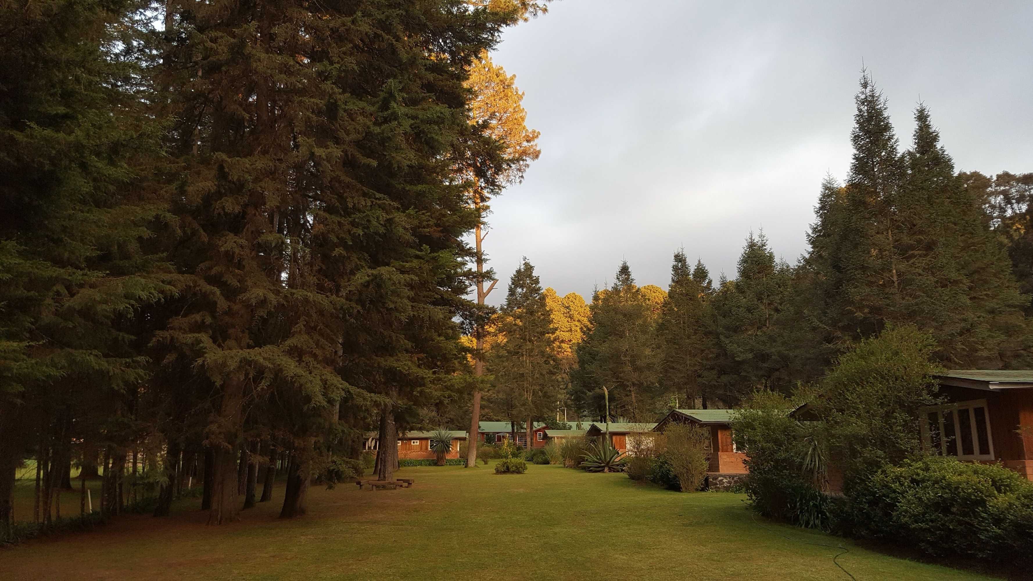 Gift card for Rancho Viejo