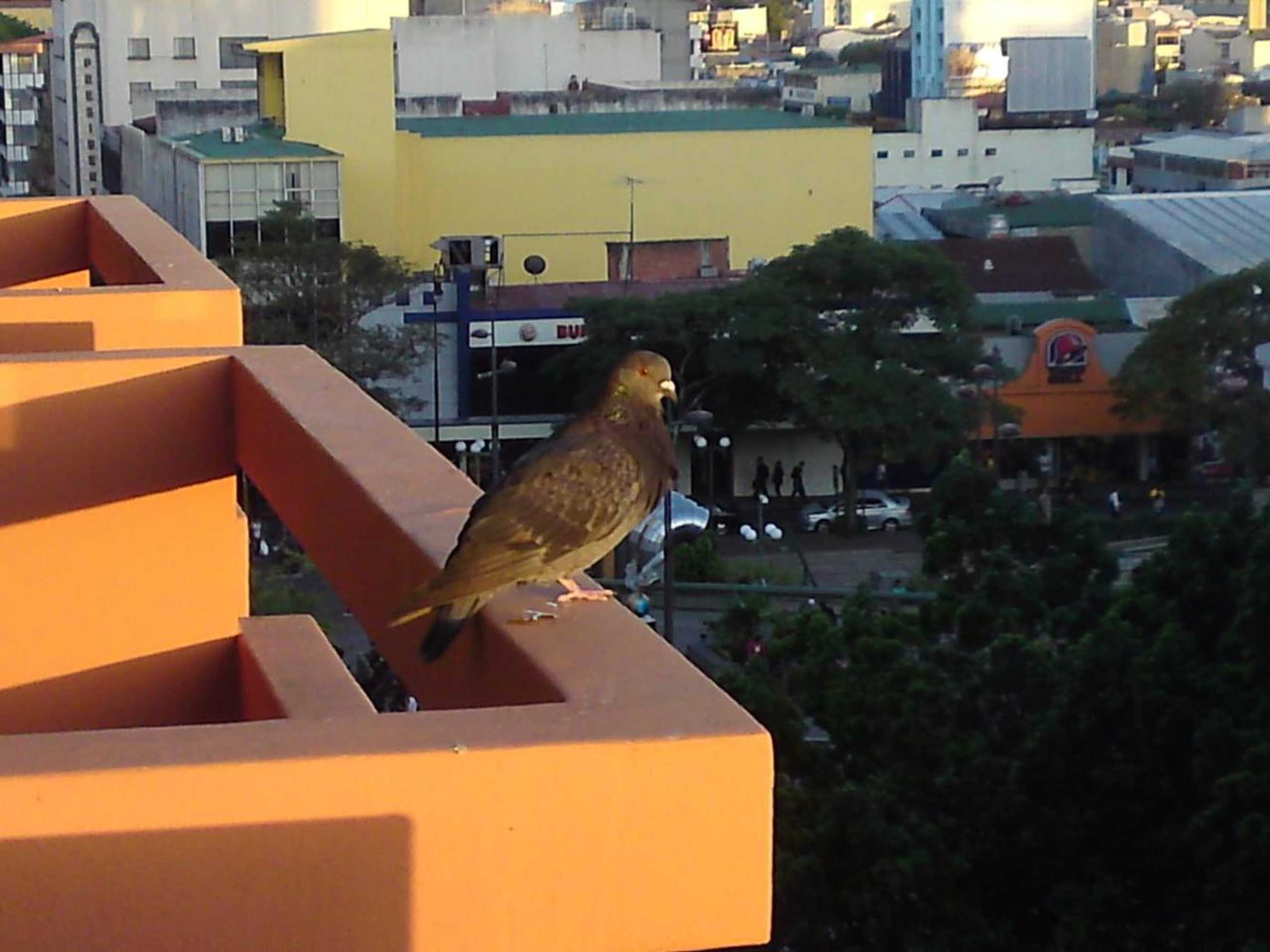 Gift card for Hostel Maragato