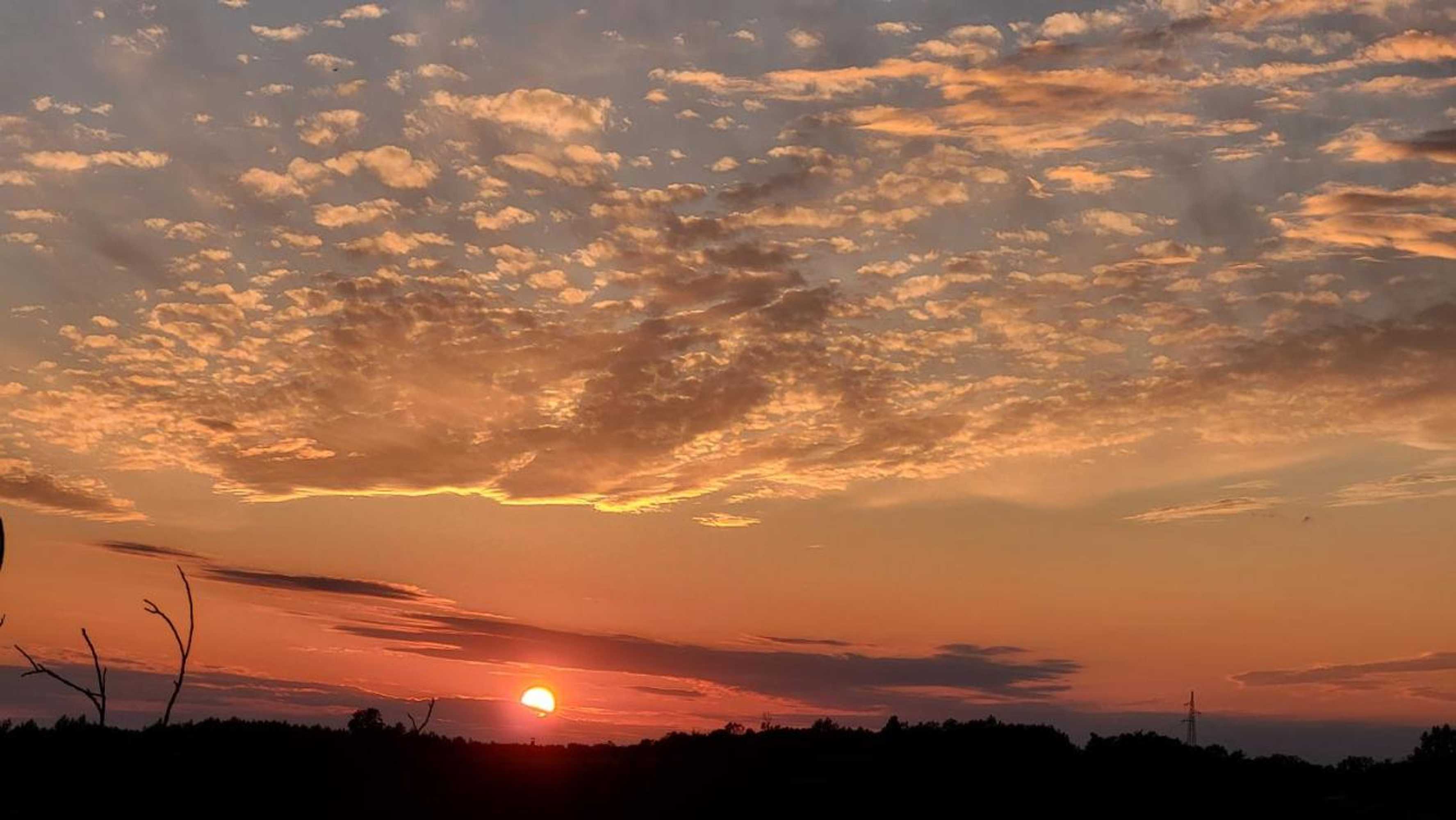 Gift card for Villa San Vito - Tilia, Olea, Rosmarinus