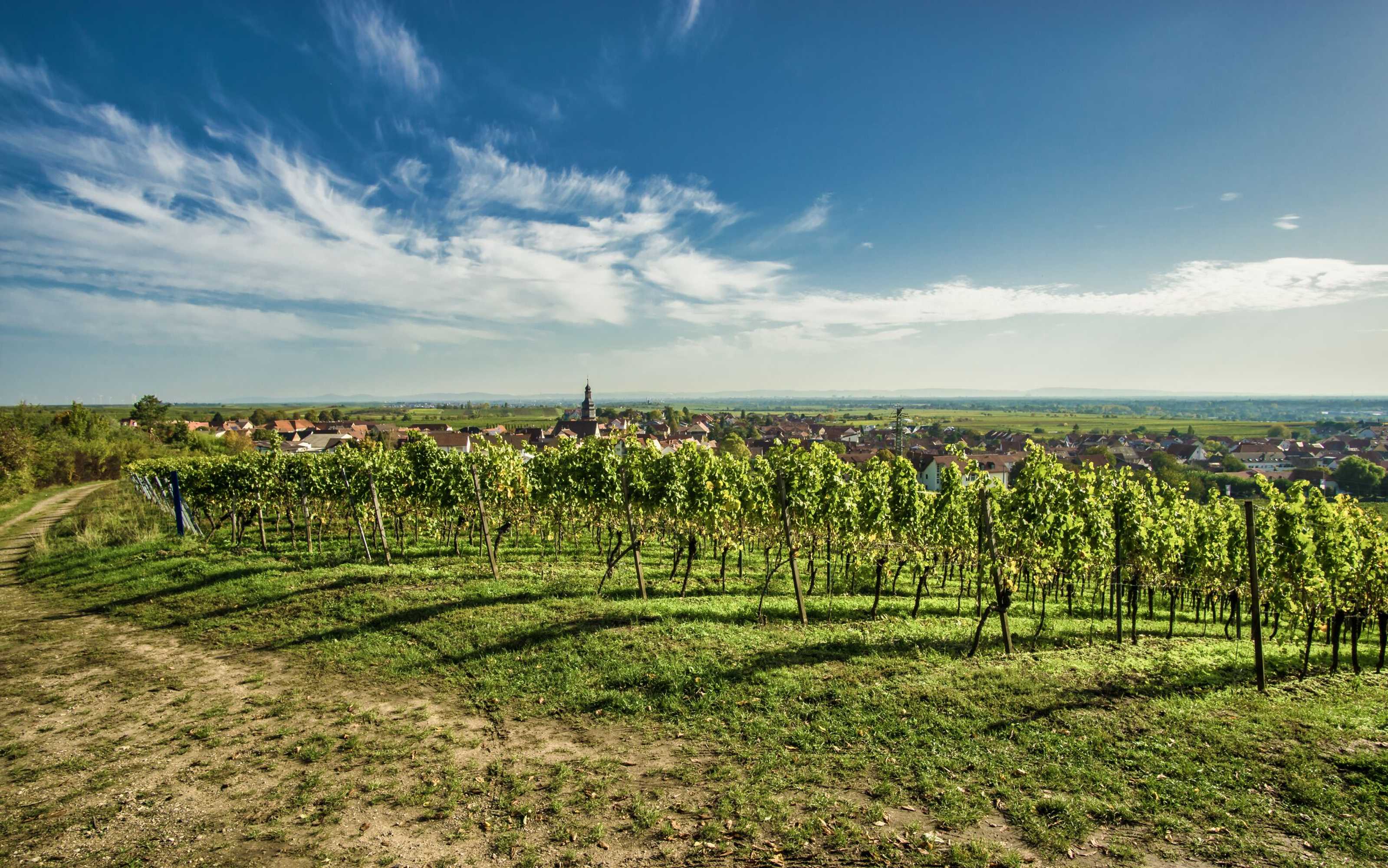 Gift card for Ferienhaus Kallstadt