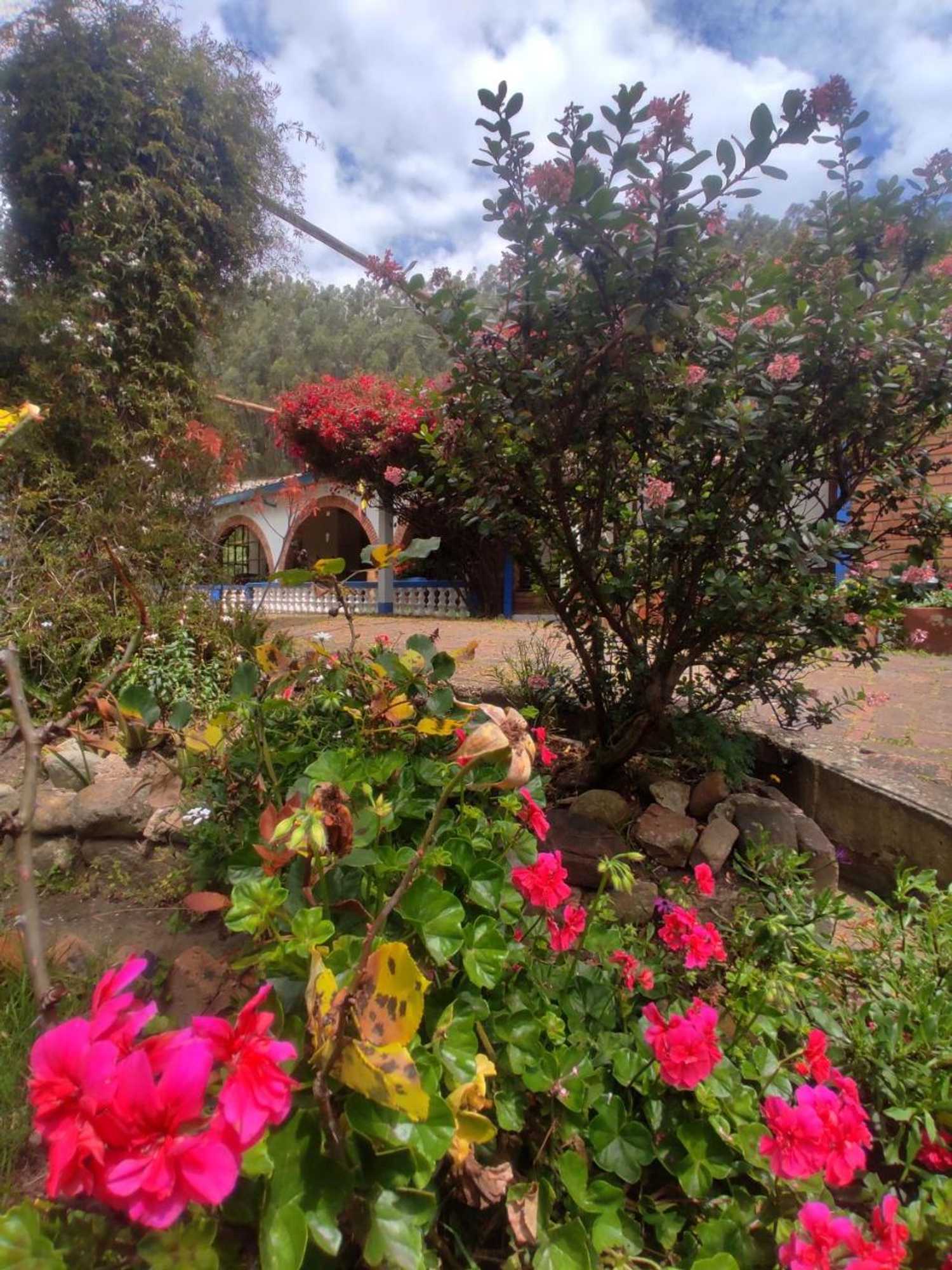 Gift card for Finca San Pedro -Alojamiento Campestre y Reserva Natural-