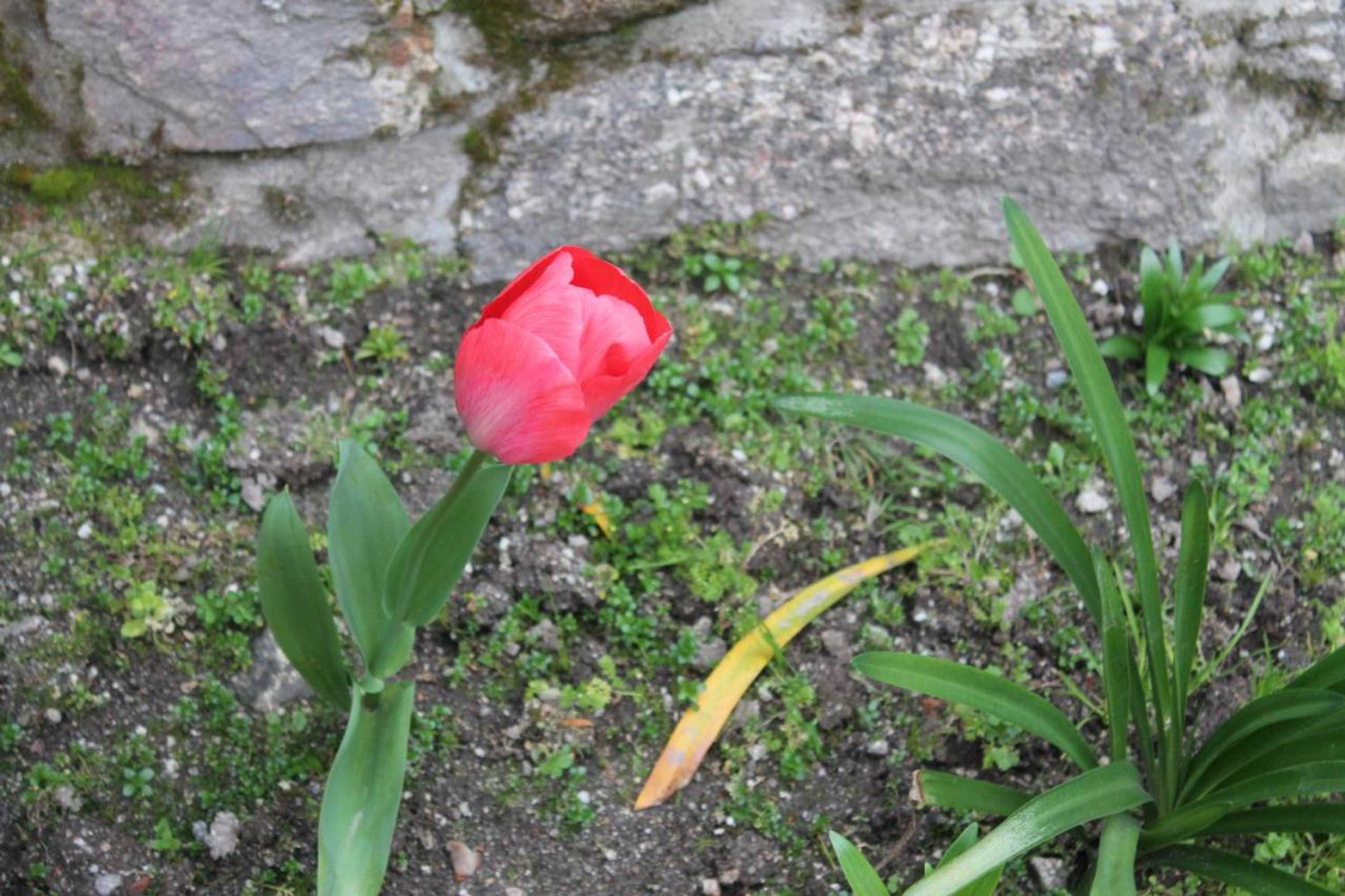 Gift card for Casa de Requeixo