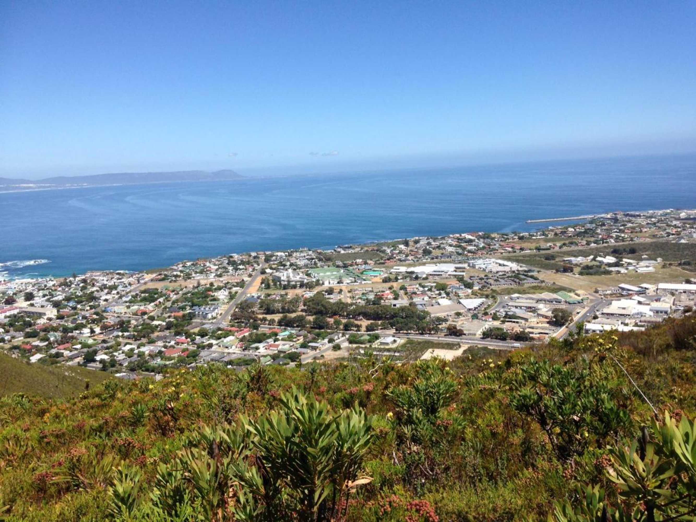 Gift card for Baleia de Hermanus