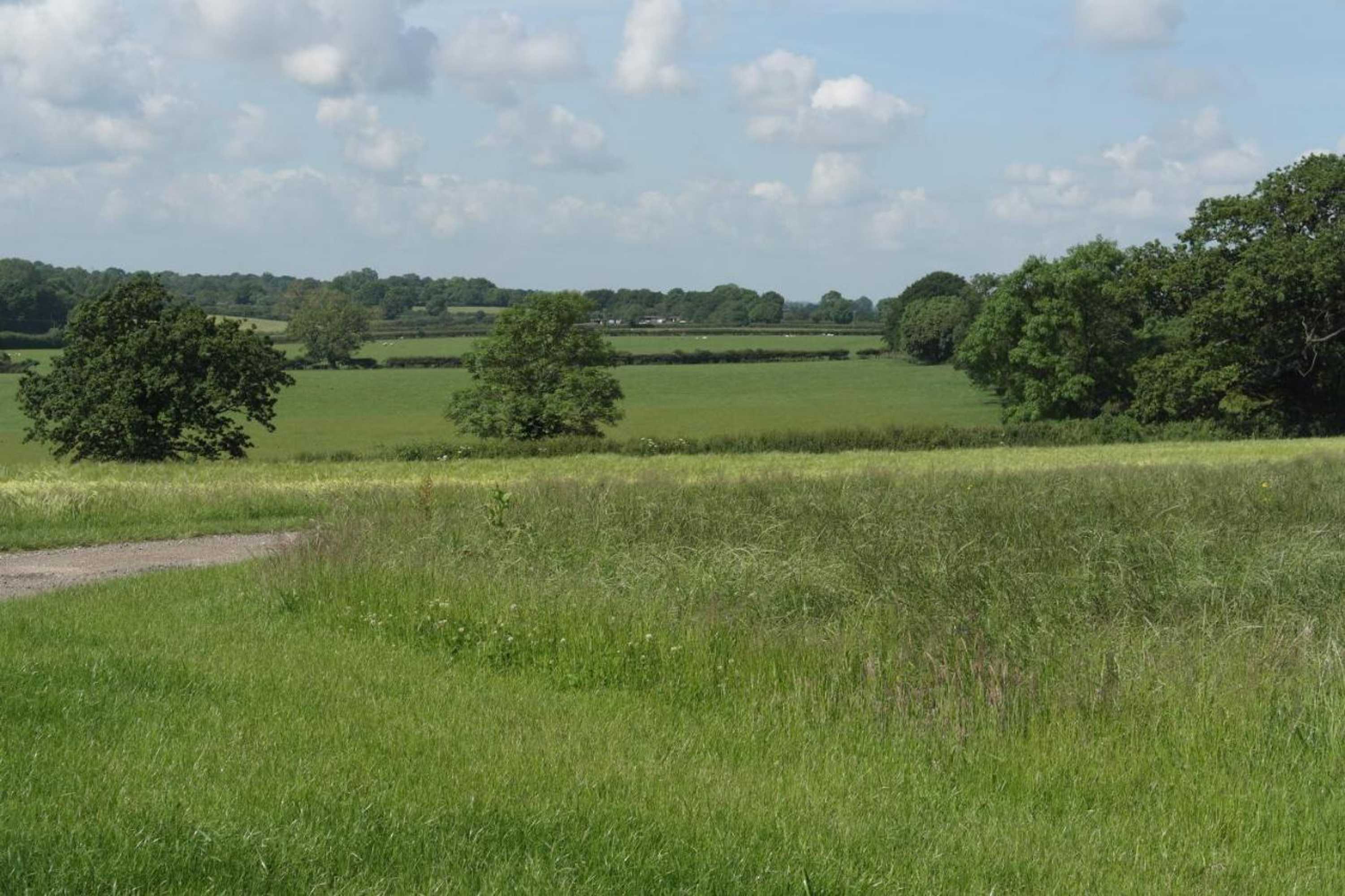 Gift card for Handley Barn