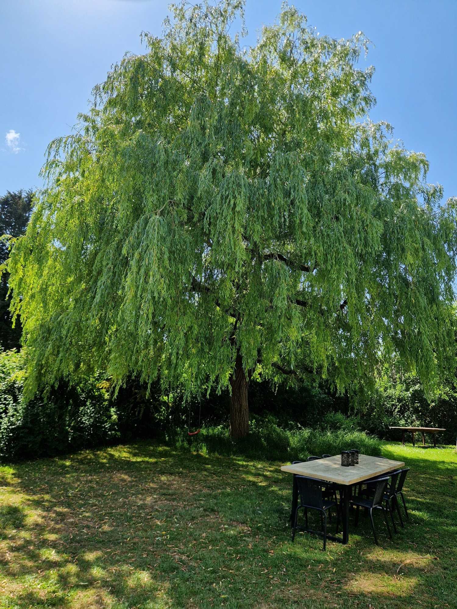 Gift card for Worth House