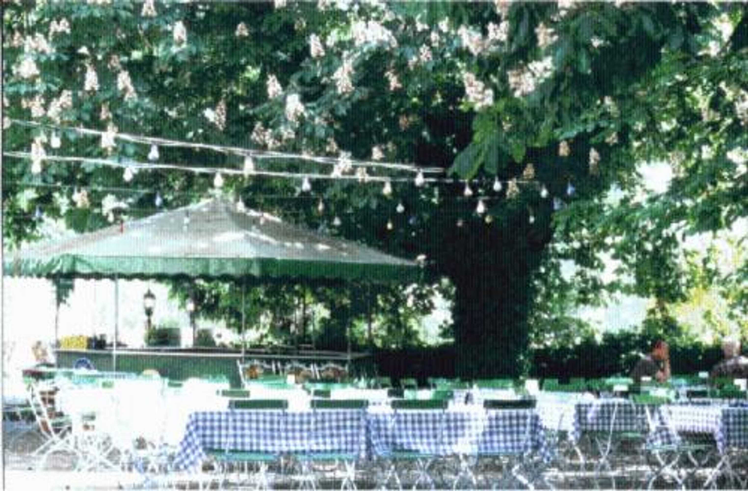 Gift card for Landgasthof Wiesenmühle