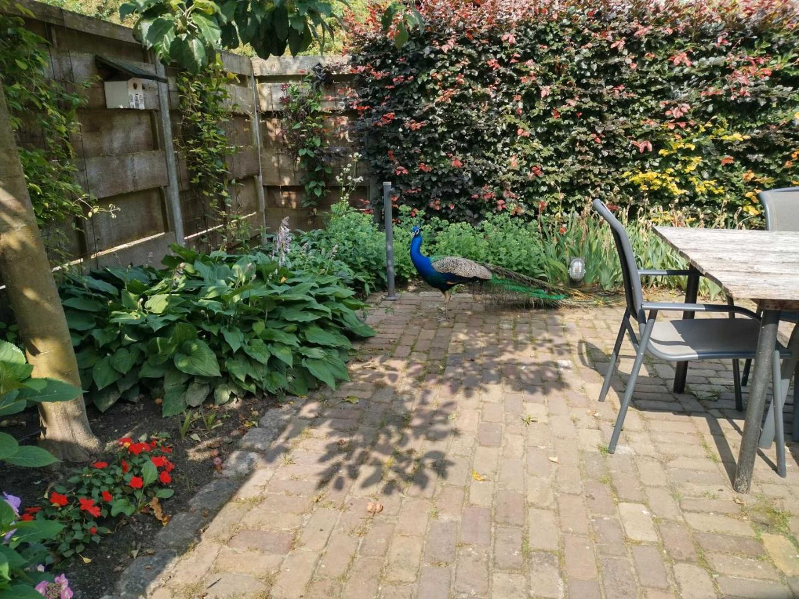 Gift card for Bed op de Reth