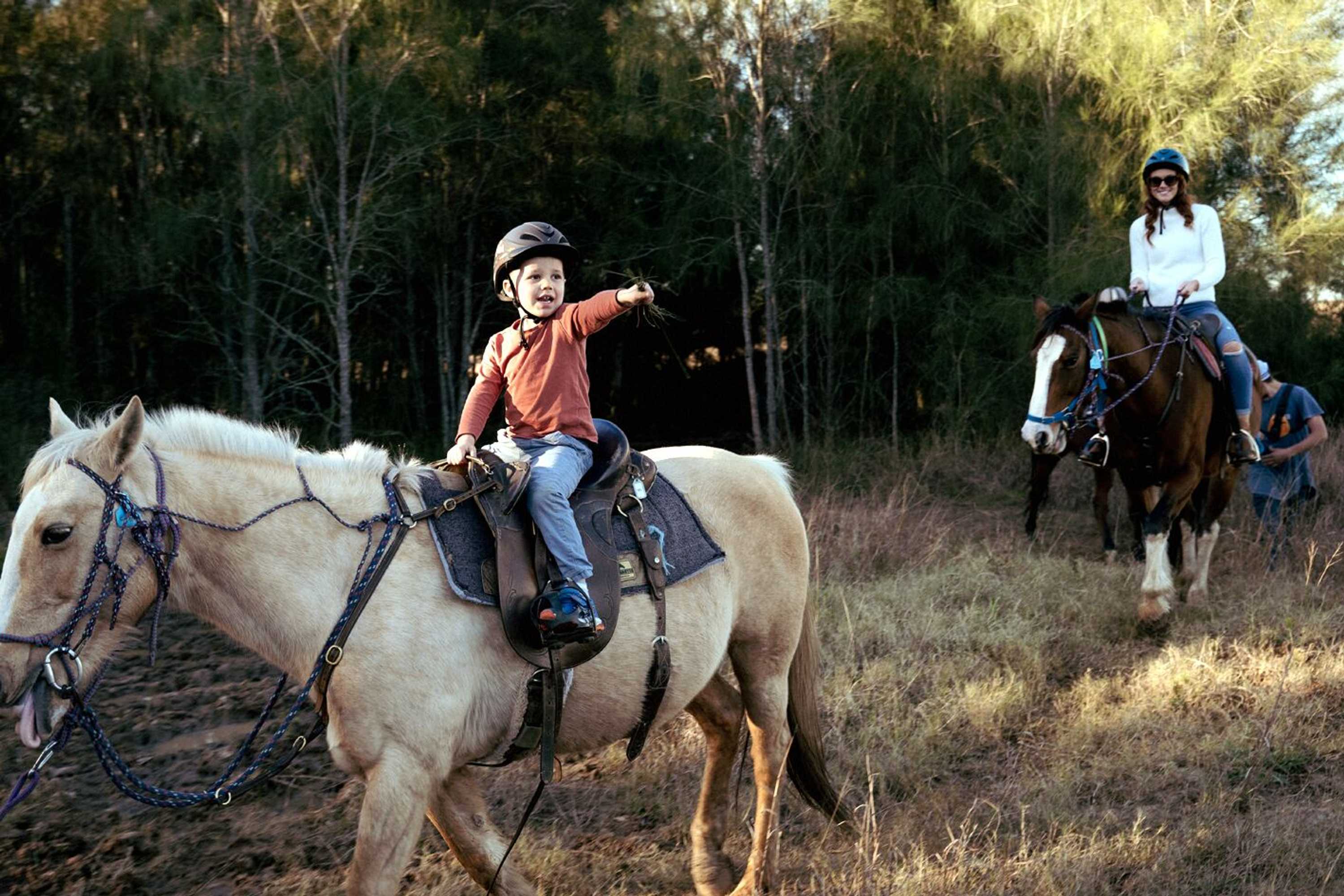 Gift card for Hunter Valley Resort, Hunter Farm Adventure Centre & 4 Pines at The Farm Gift card for Hunter Valley Resort, Hunter Farm Adventure Centre & 4 Pines at The Farm