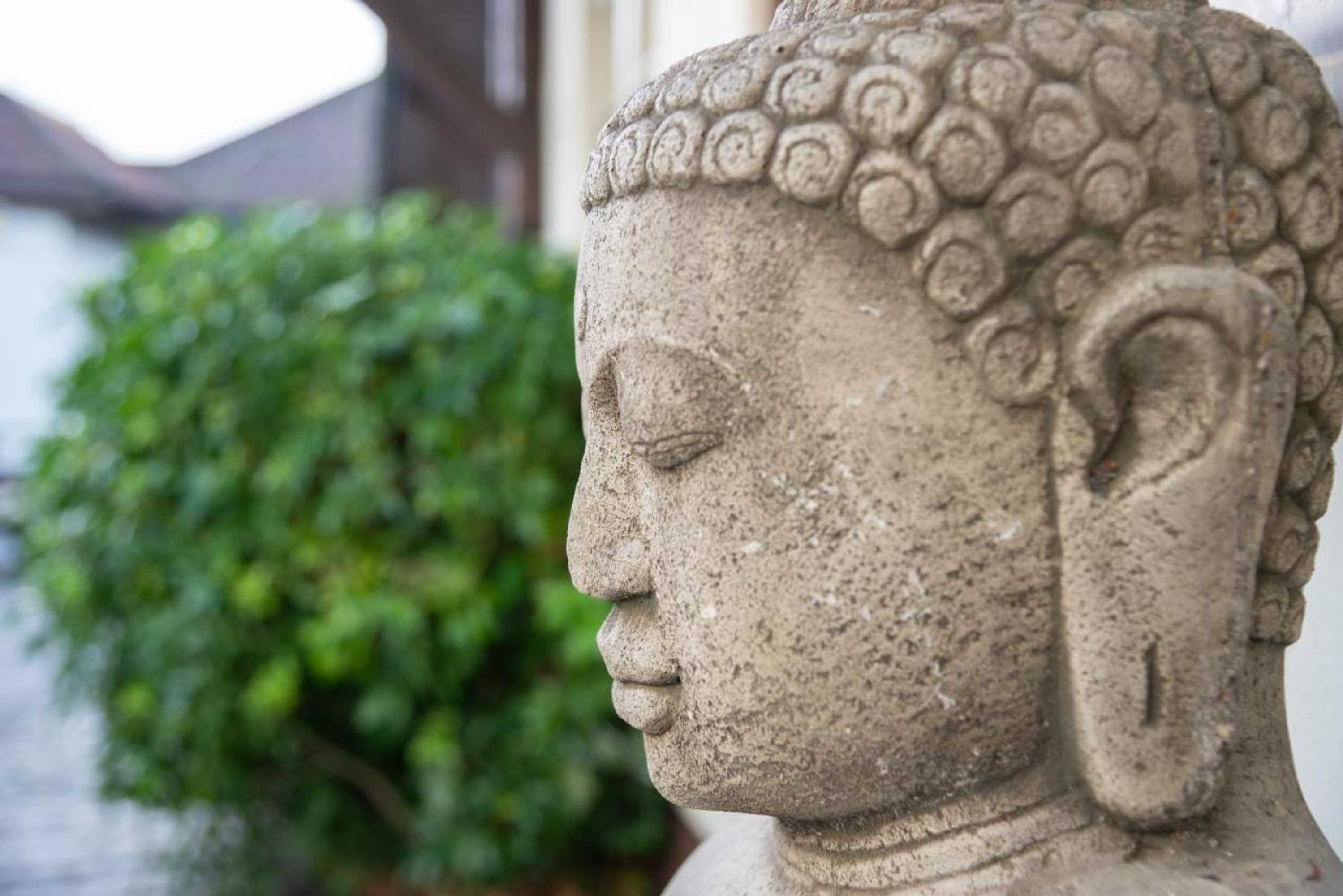 Gift card for The Half Moon Inn And Country Lodge