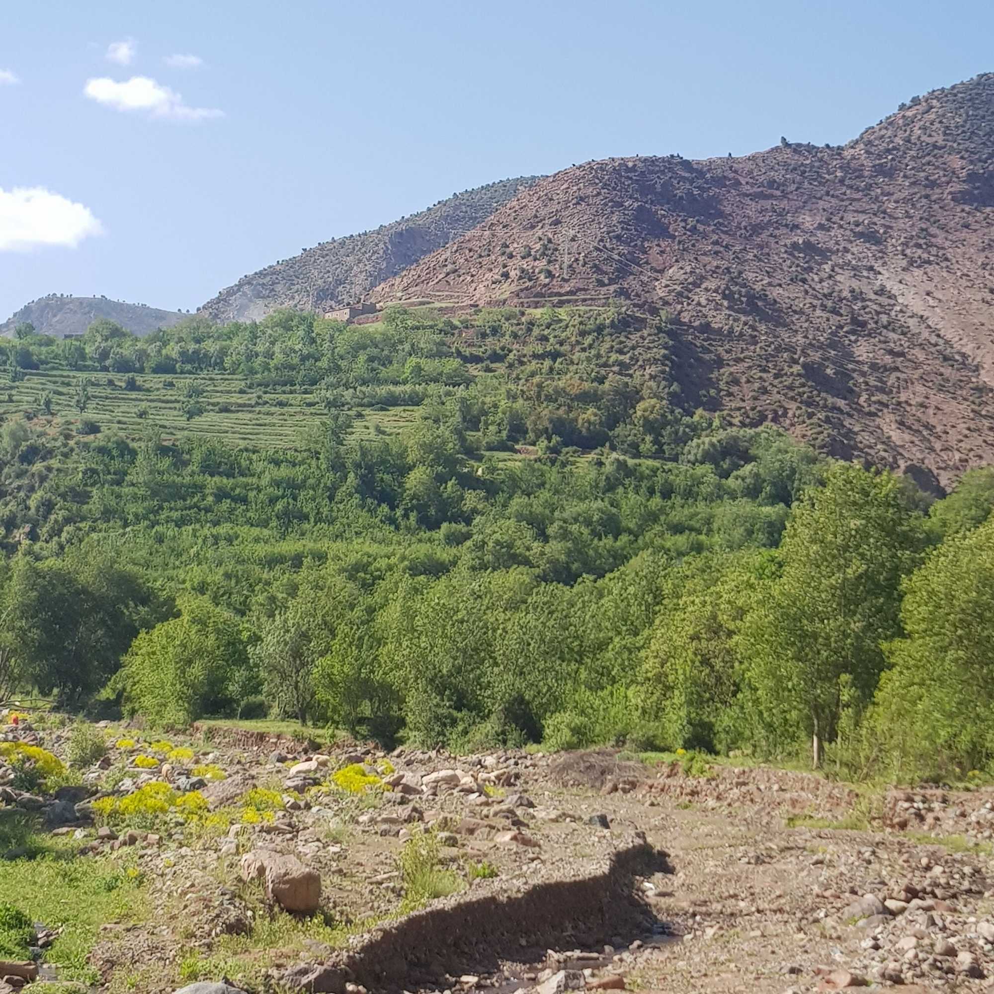 Gift card for Dar Imoughlad