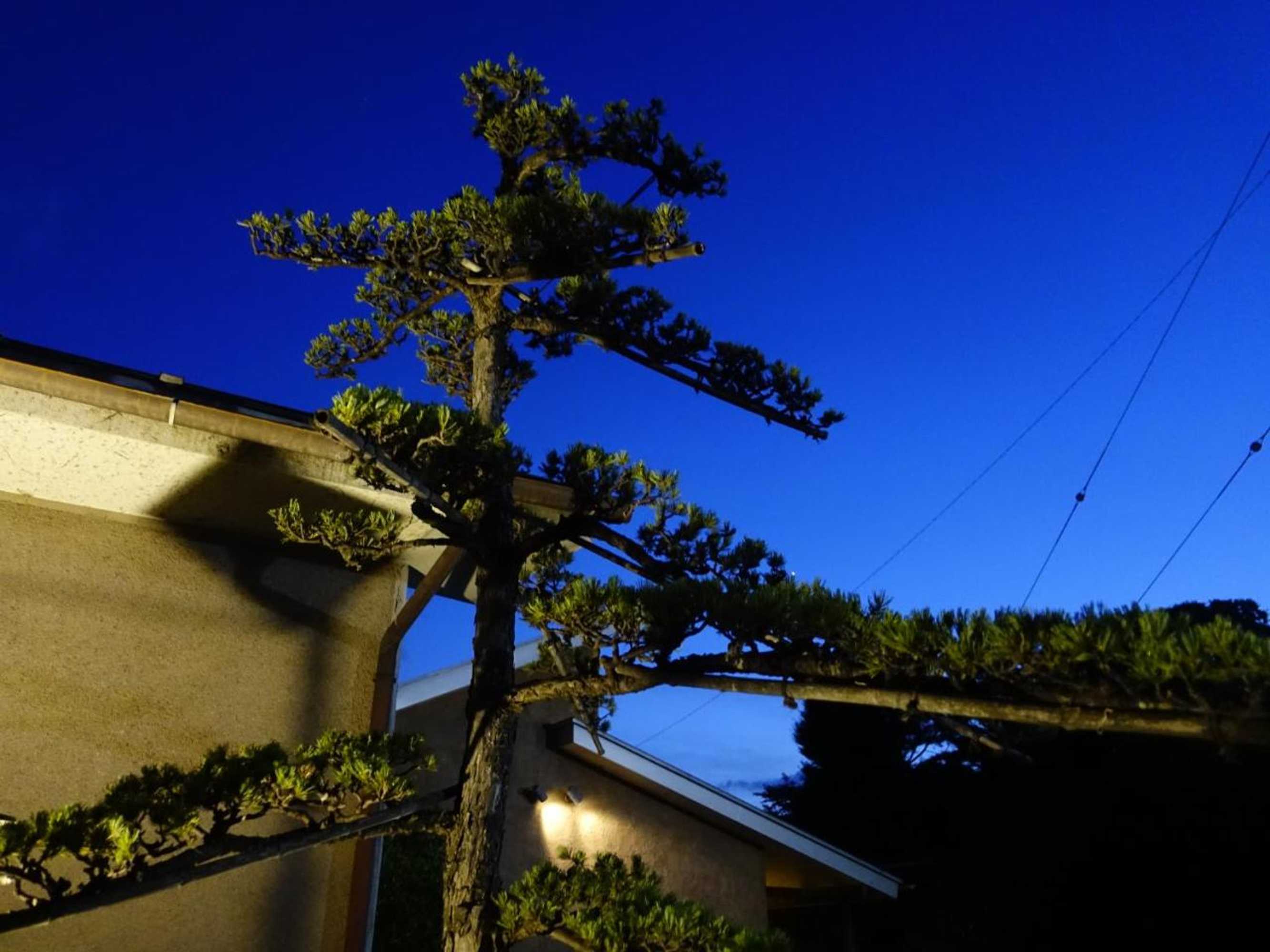 Gift card for Oimatsuen