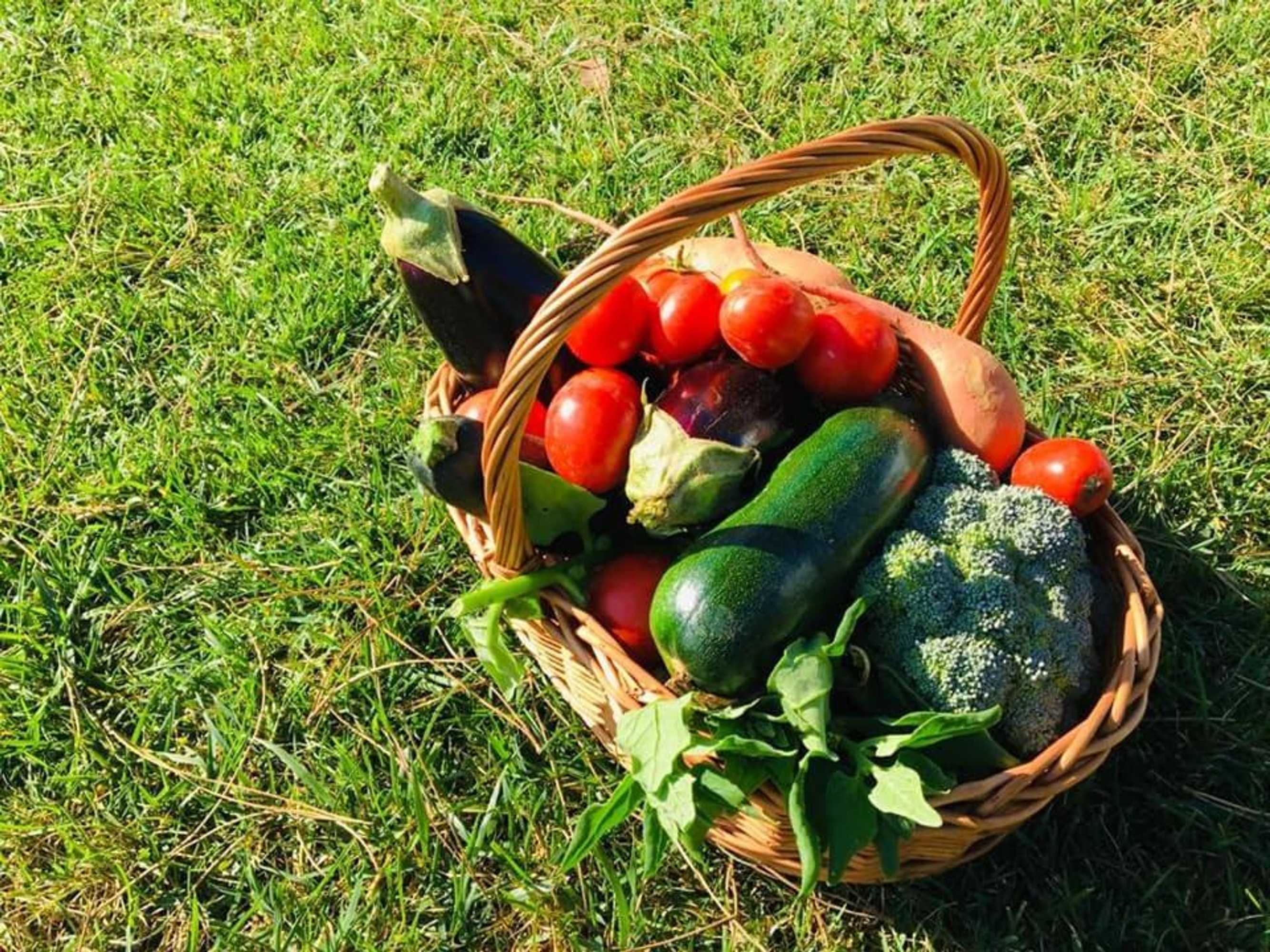 Gift card for Furnaka Village Ecosurf