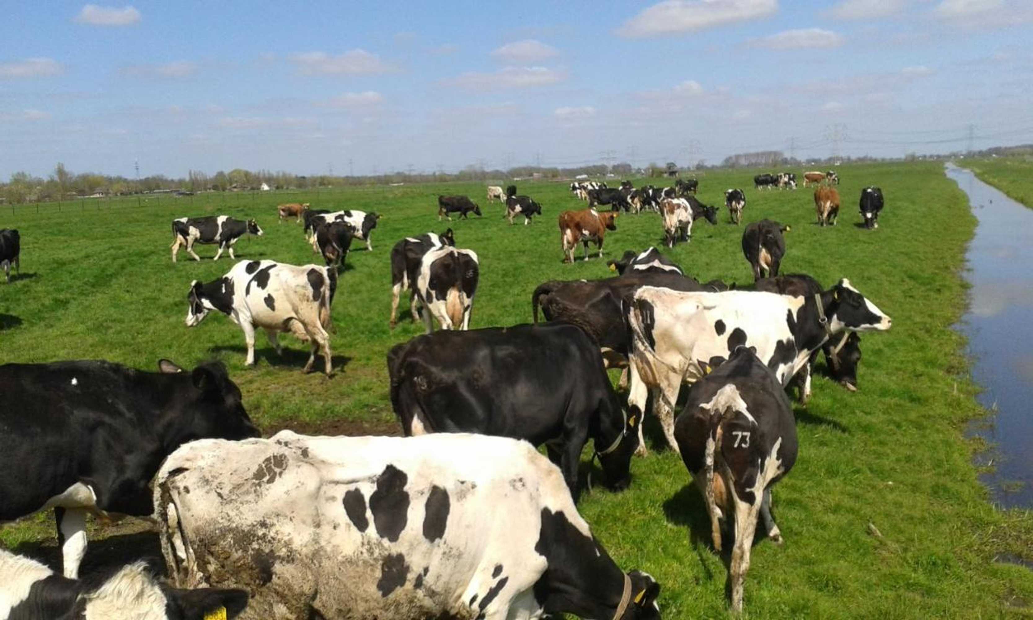 Gift card for Het Boenhok Logies