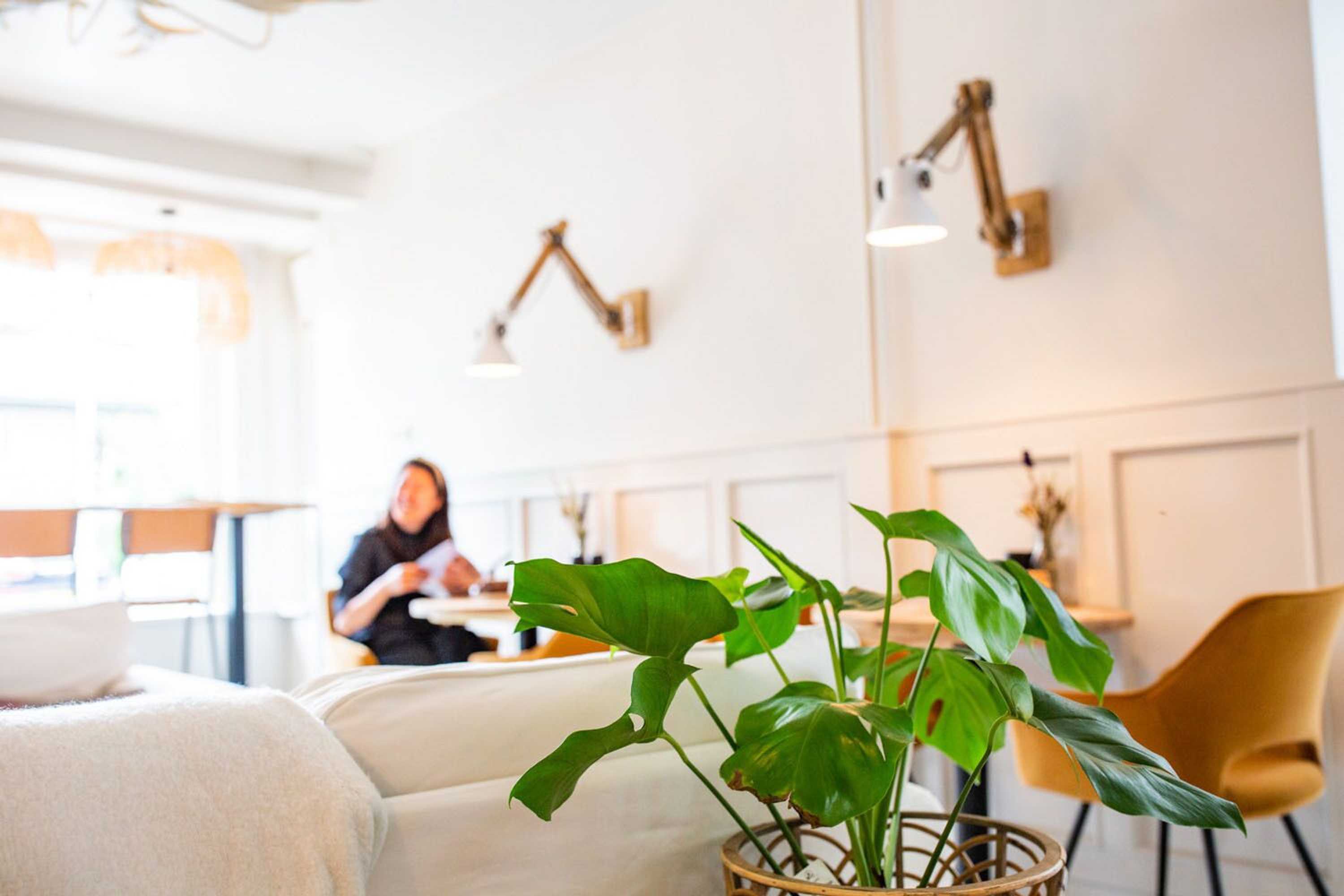 Gift card for Casa Julia