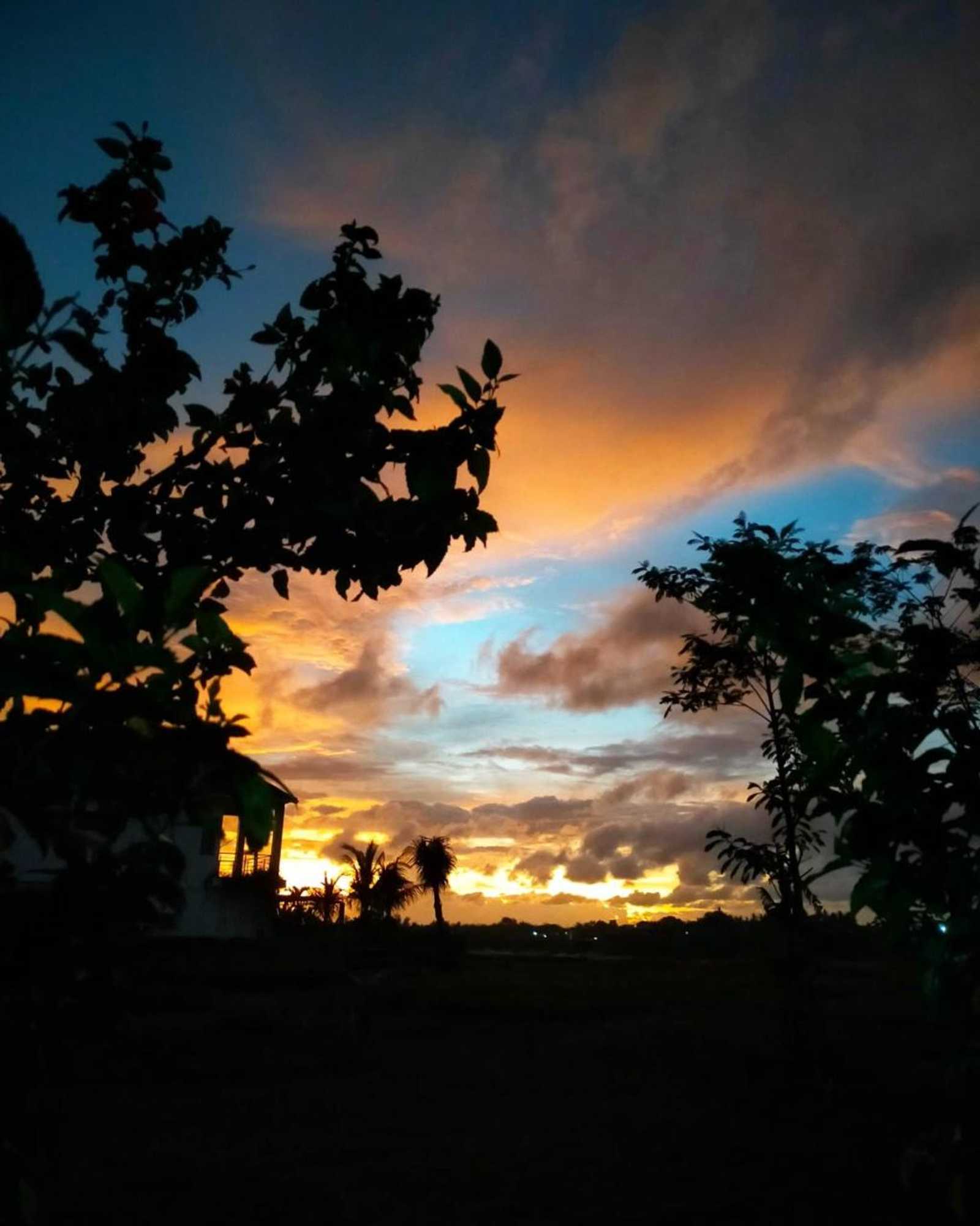 Gift card for Medewi Surf Homestay Gift card for Medewi Surf Homestay