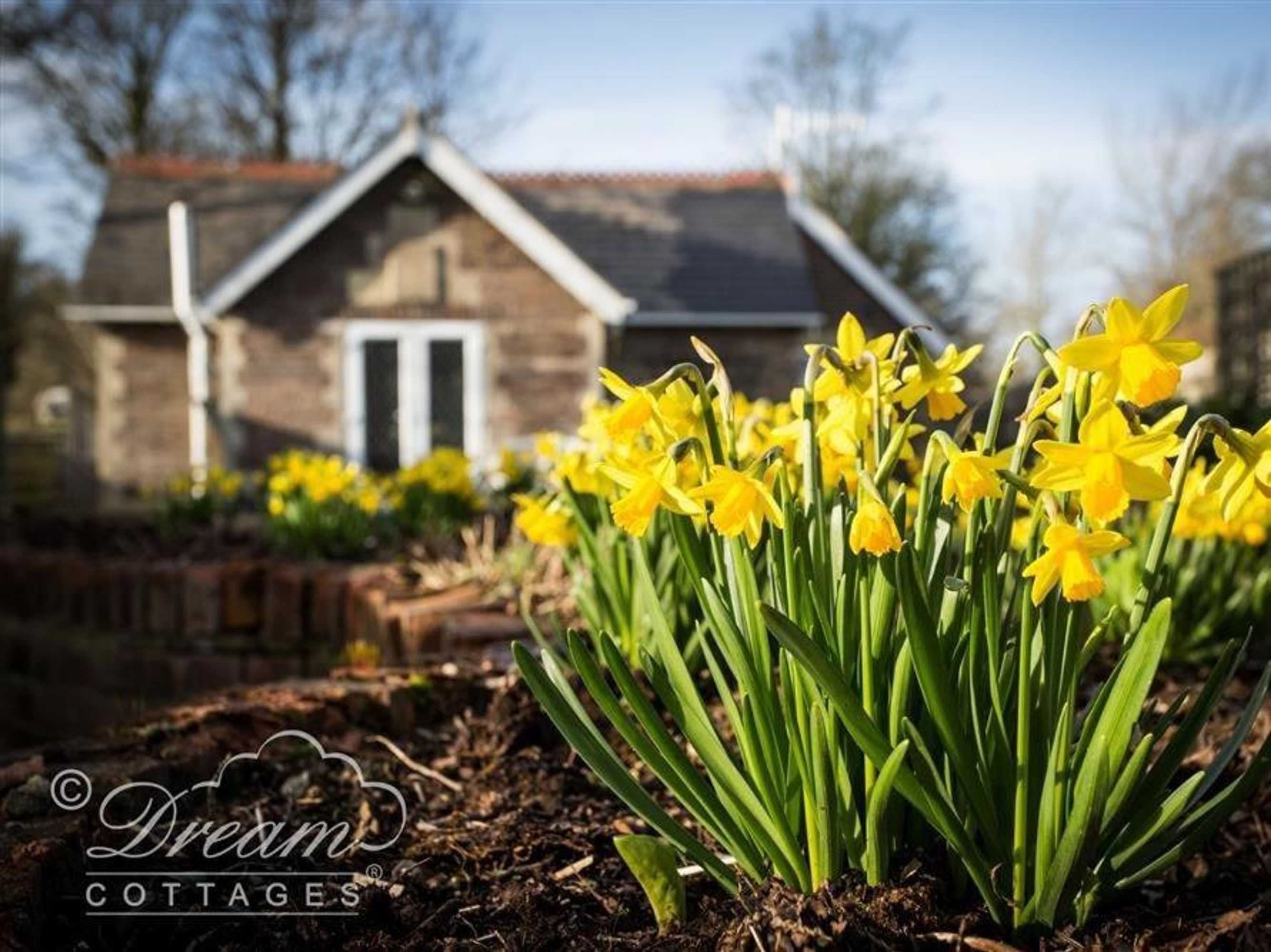 Gift card for Frome Lodge House, Dorchester