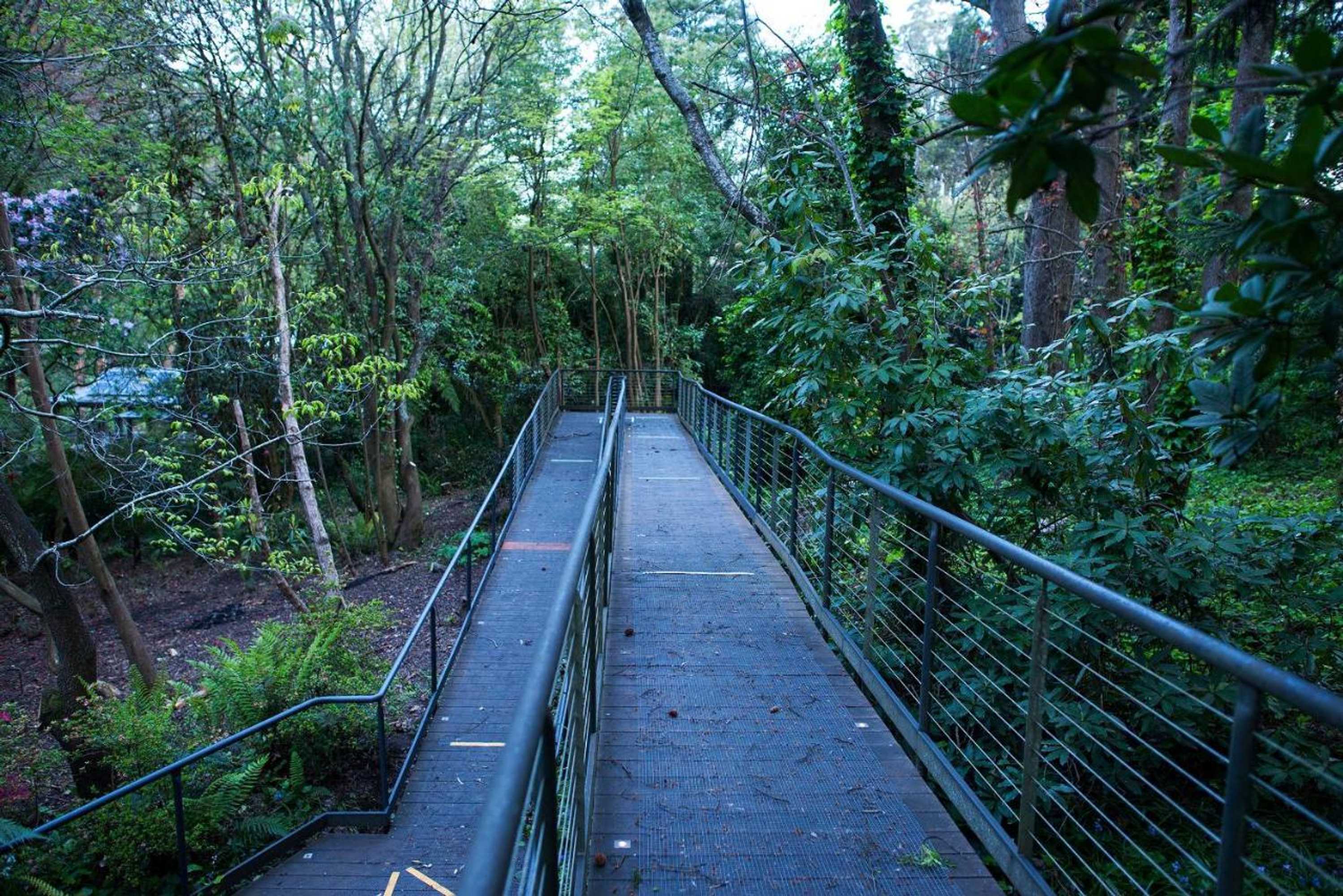 Gift card for Linden Gardens Rainforest Retreat